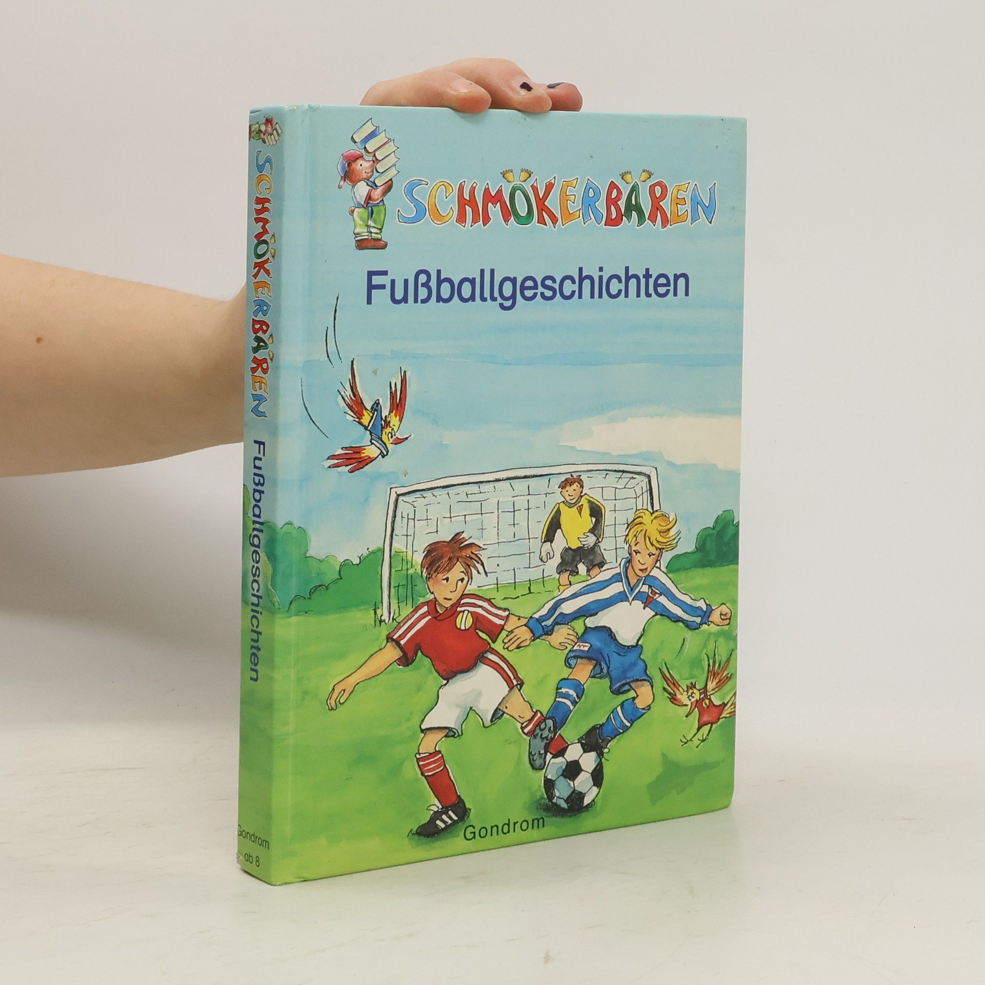Collectif d'auteurs Fußballgeschichten