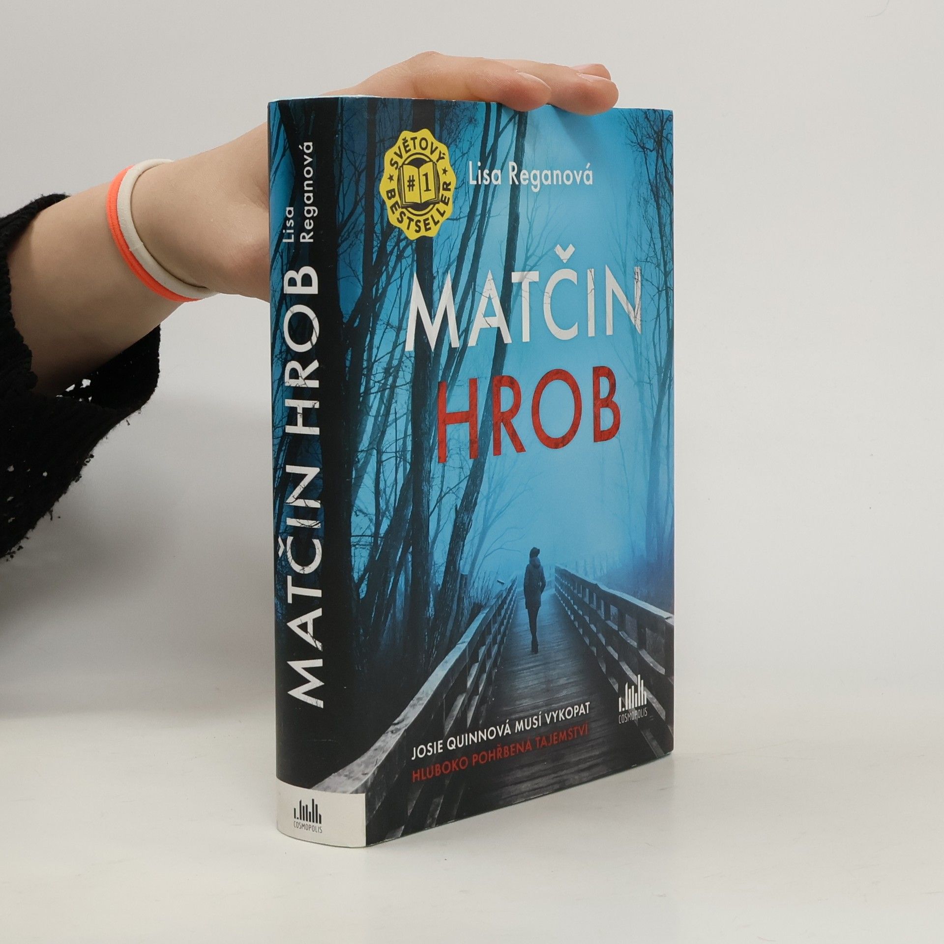 Lisa Regan Matčin hrob