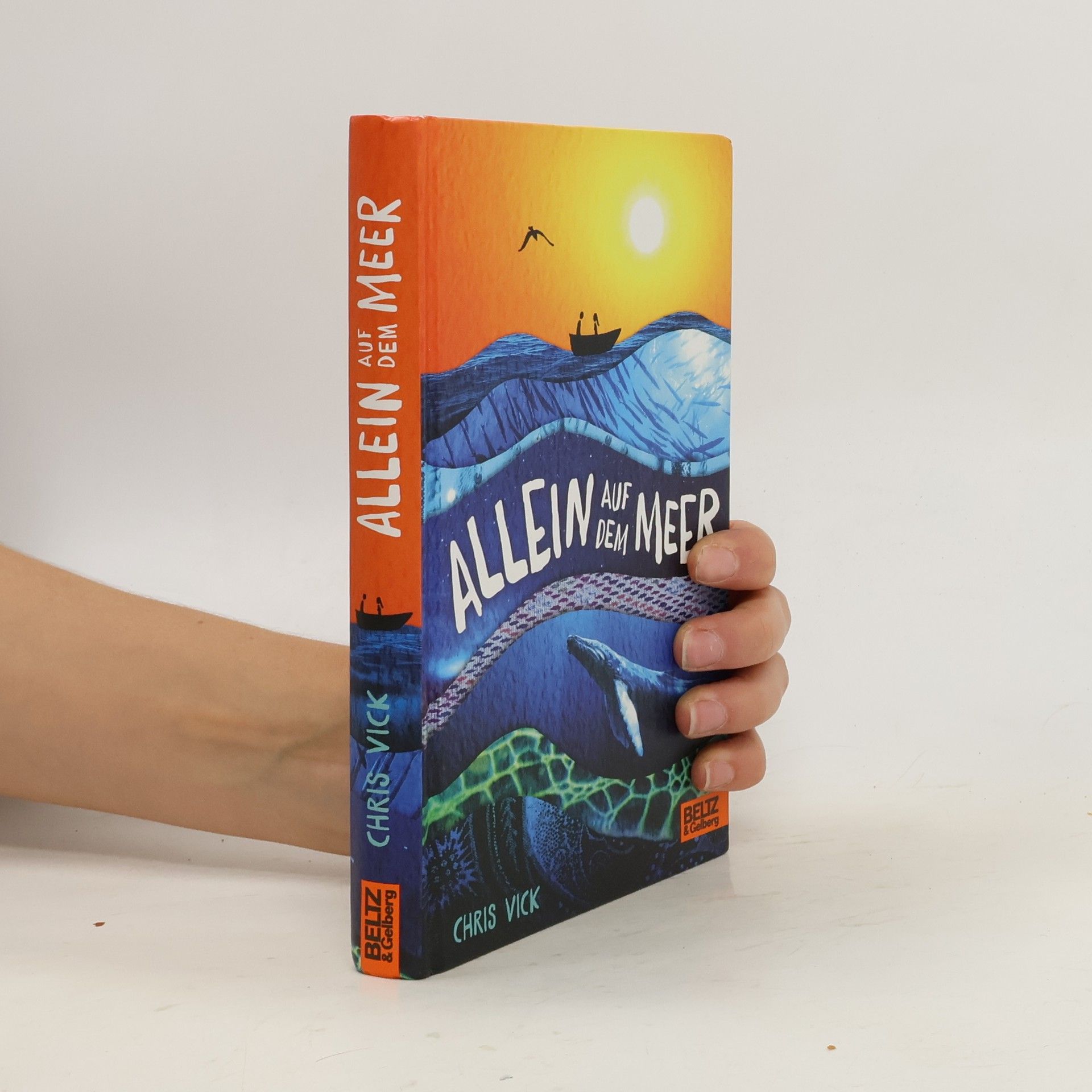 Chris Vick Allein auf dem Meer