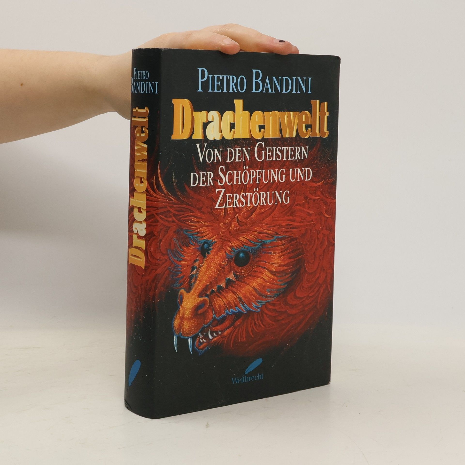 Drachenwelt. Von den Geistern der Schöpfung und Zerstörung