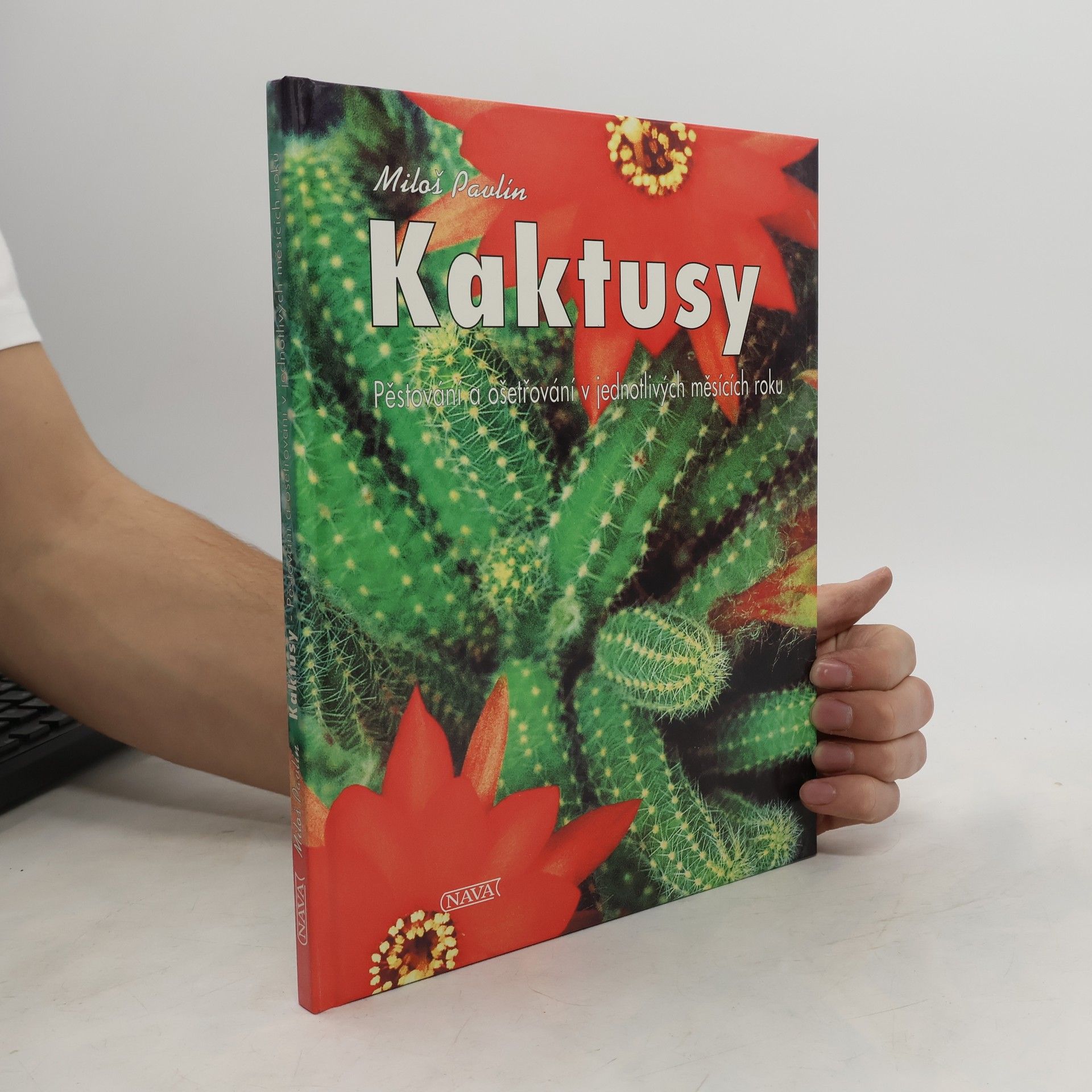 Kaktusy. Pěstování a ošetřování v jednotlivých měsících roku