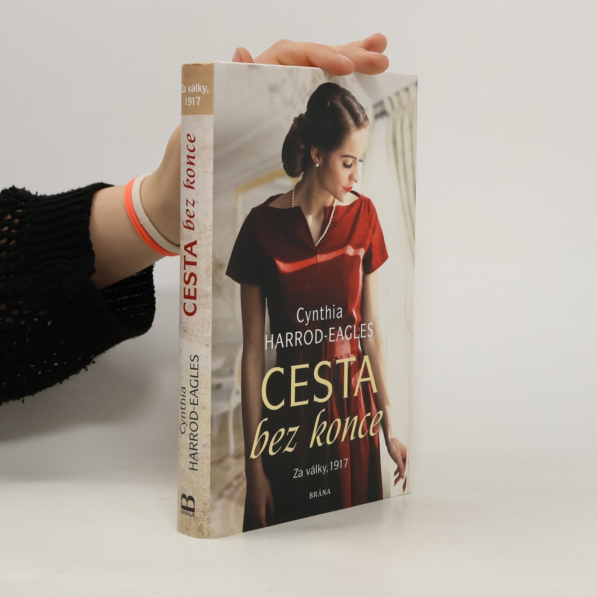 Cynthia Harrod-Eagles Cesta bez konce. Za války, 1917