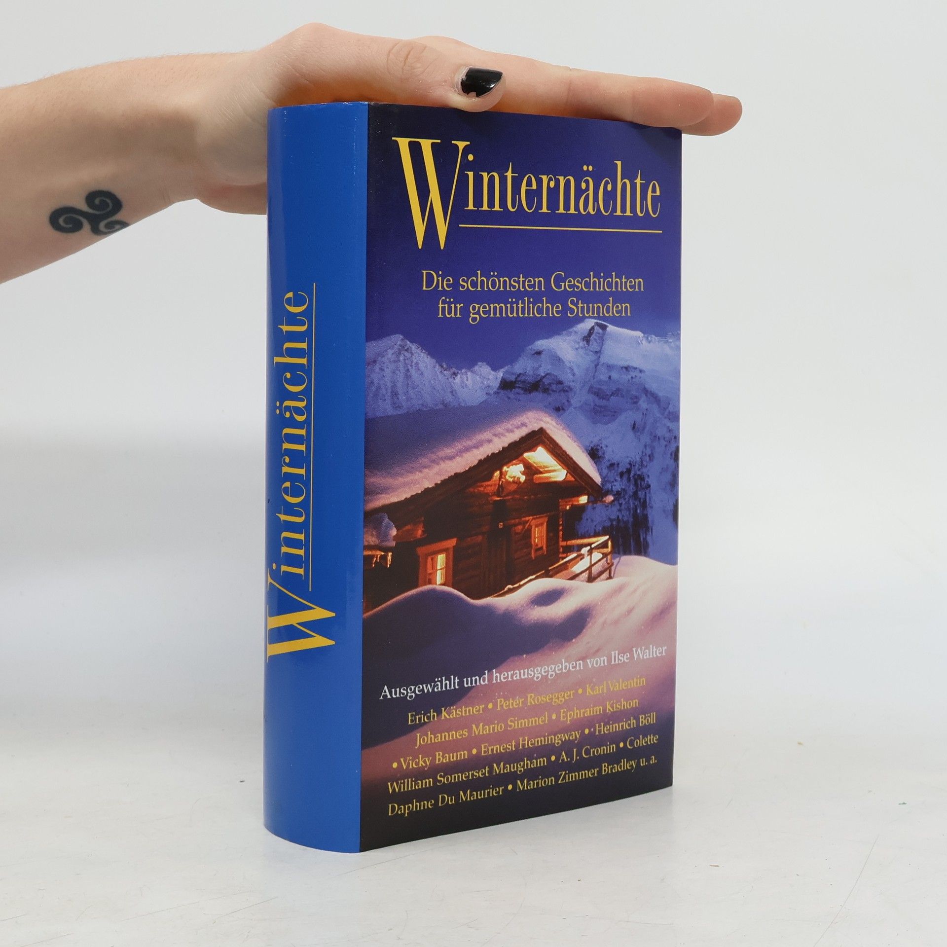 Autorenkollektiv Winternächte. Die schönsten Geschichten für gemütliche Stunden