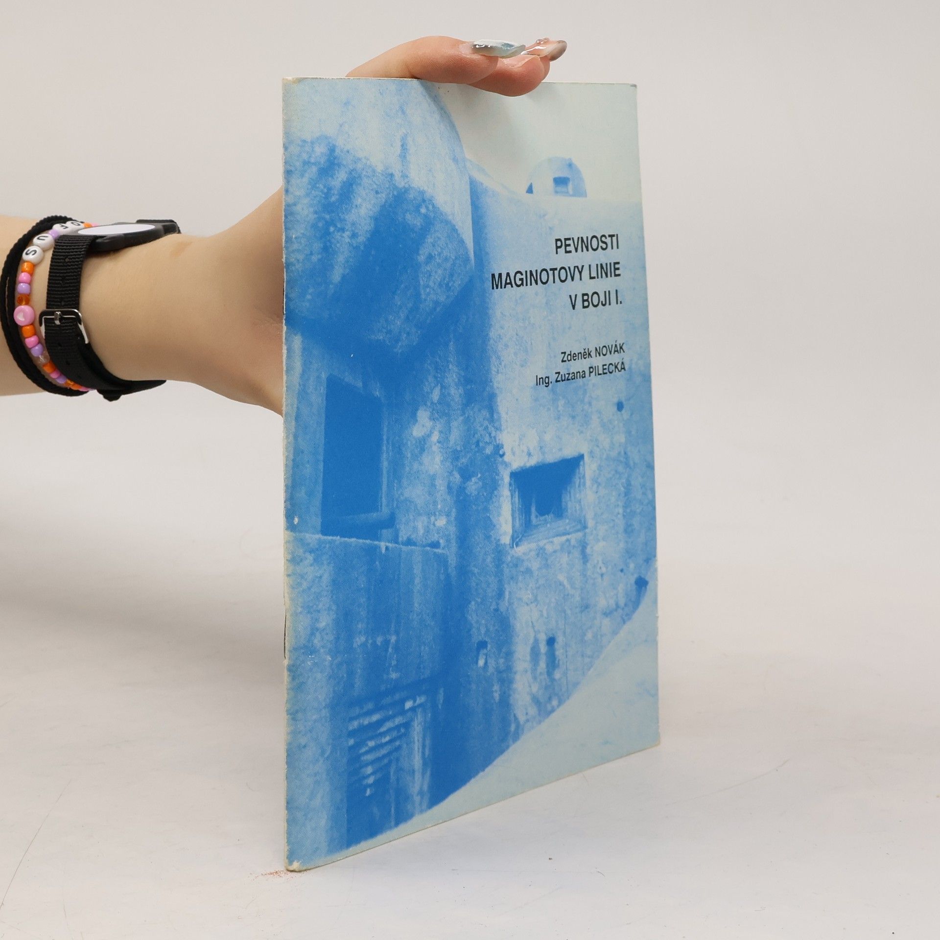 Zdeněk Novák Pevnosti Maginotovy linie v boji I