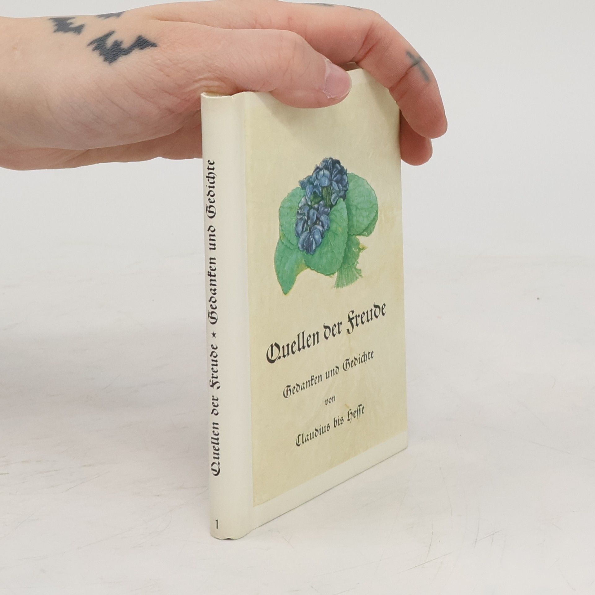 Kolektív autorov Quellen der Freude