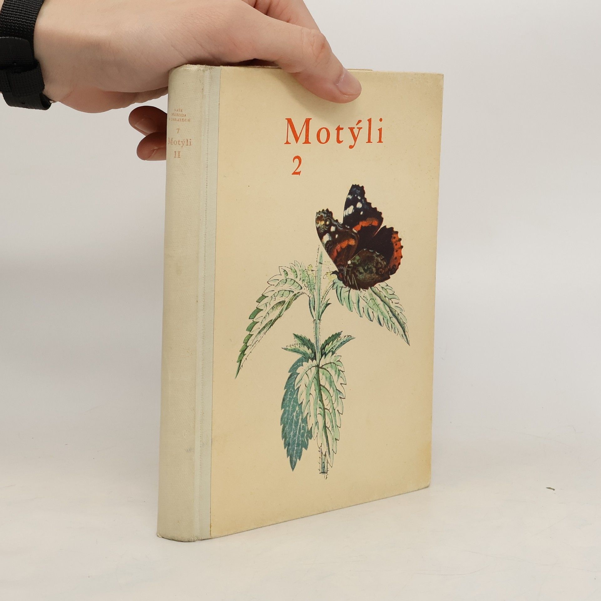 Rudolf Schwarz Motýli 2