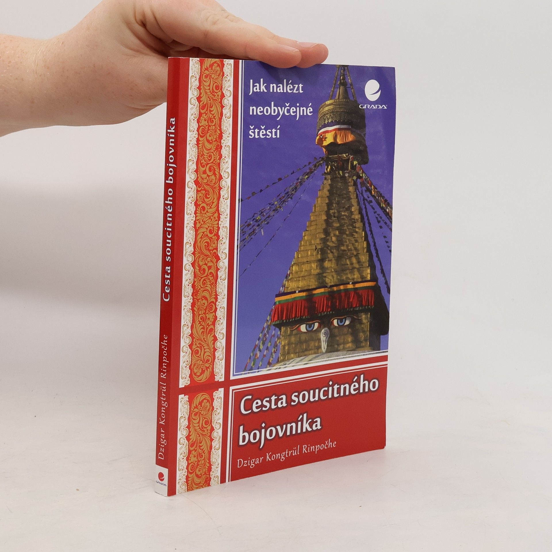 Dzigar Kongtrül Rinpoche Cesta soucitného bojovníka. Jak nalézt neobyčejné štěstí