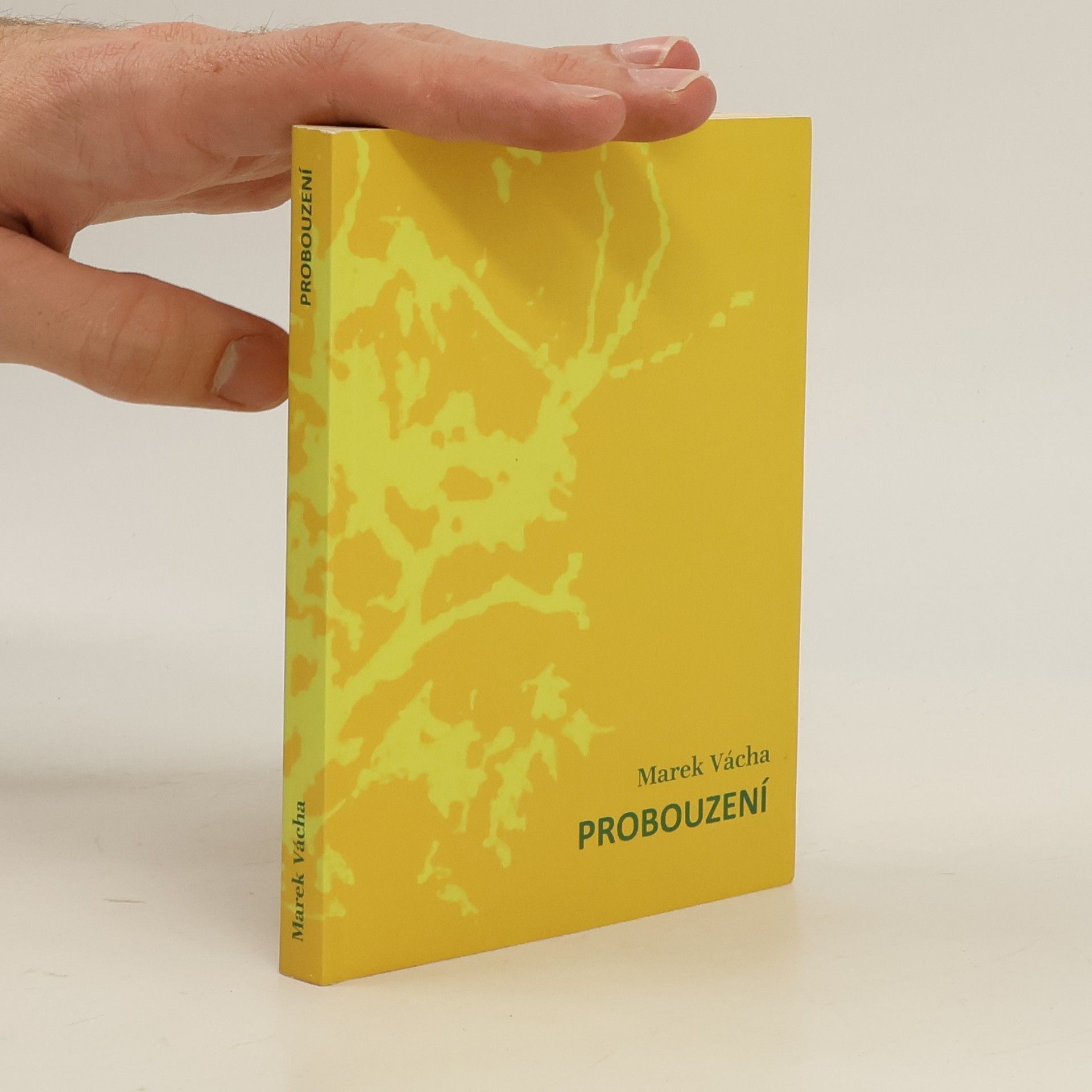 Marek Vácha Probouzení
