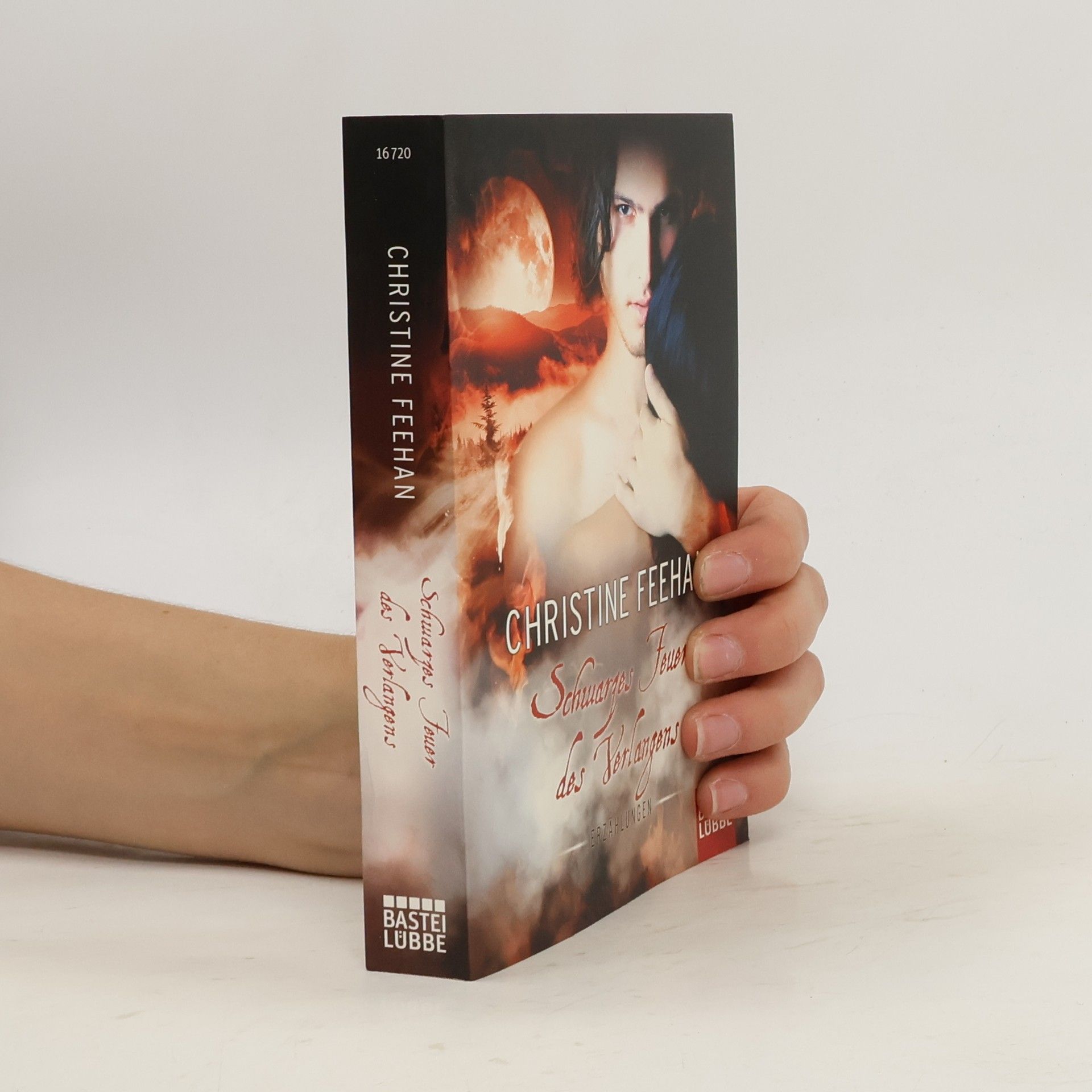 Christine Feehan Schwarzes Feuer des Verlangens