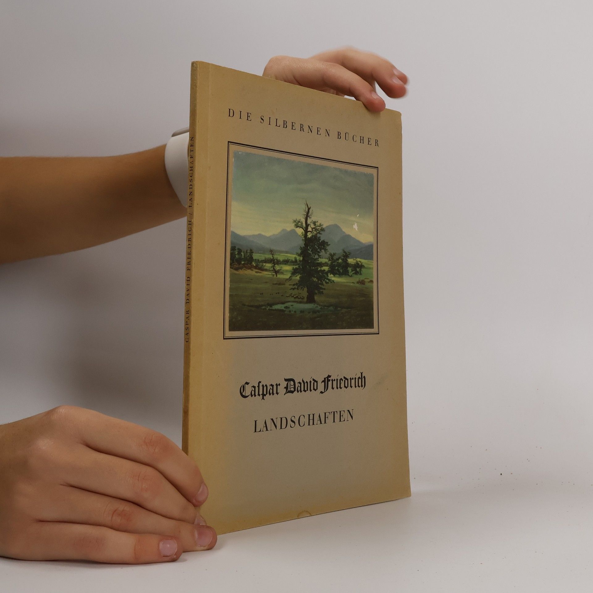 Caspar David Friedrich Landschaften