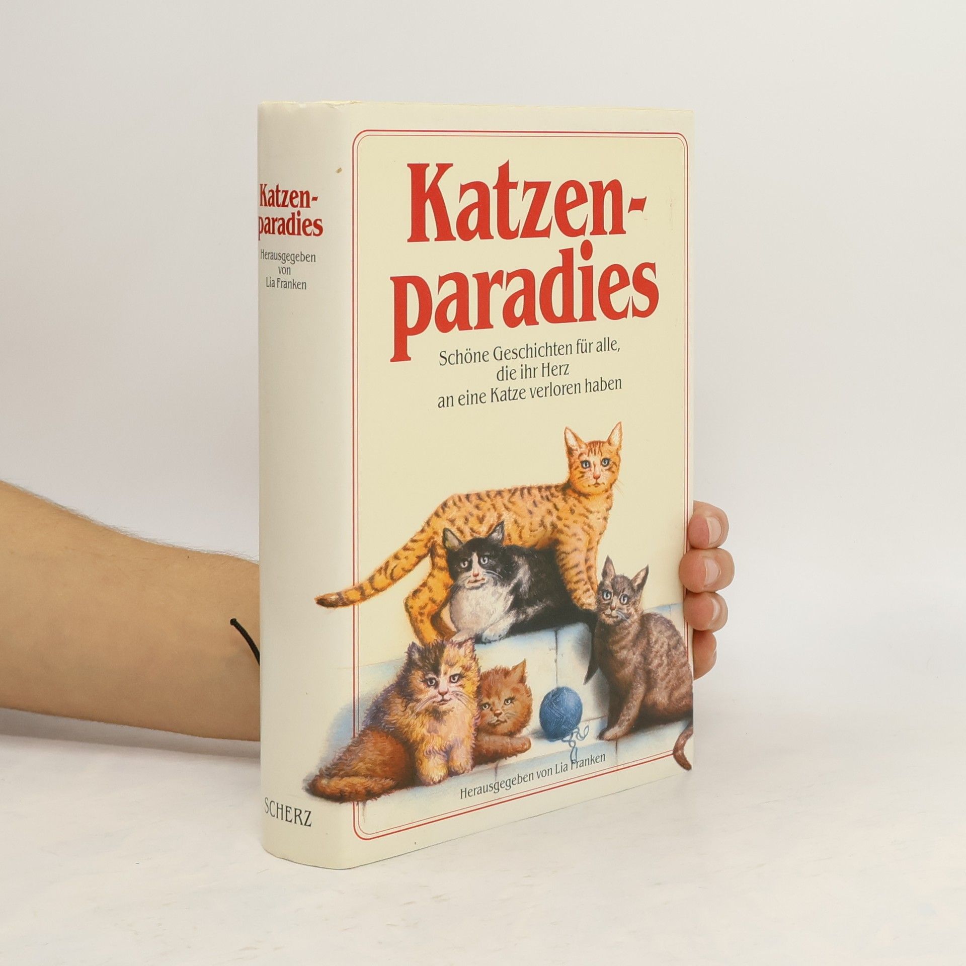 Katzenparadies