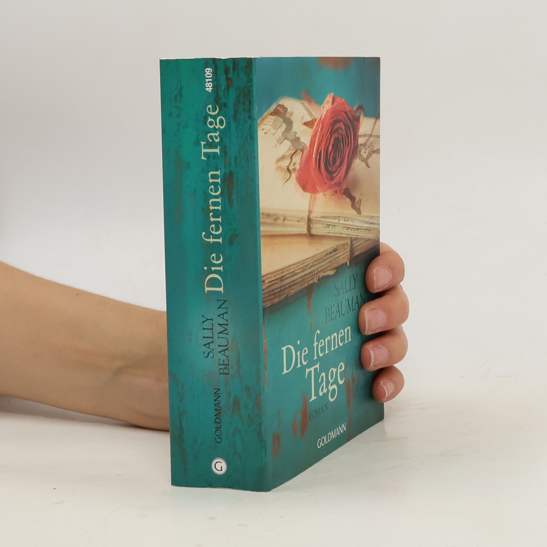 Sally Beauman Die fernen Tage