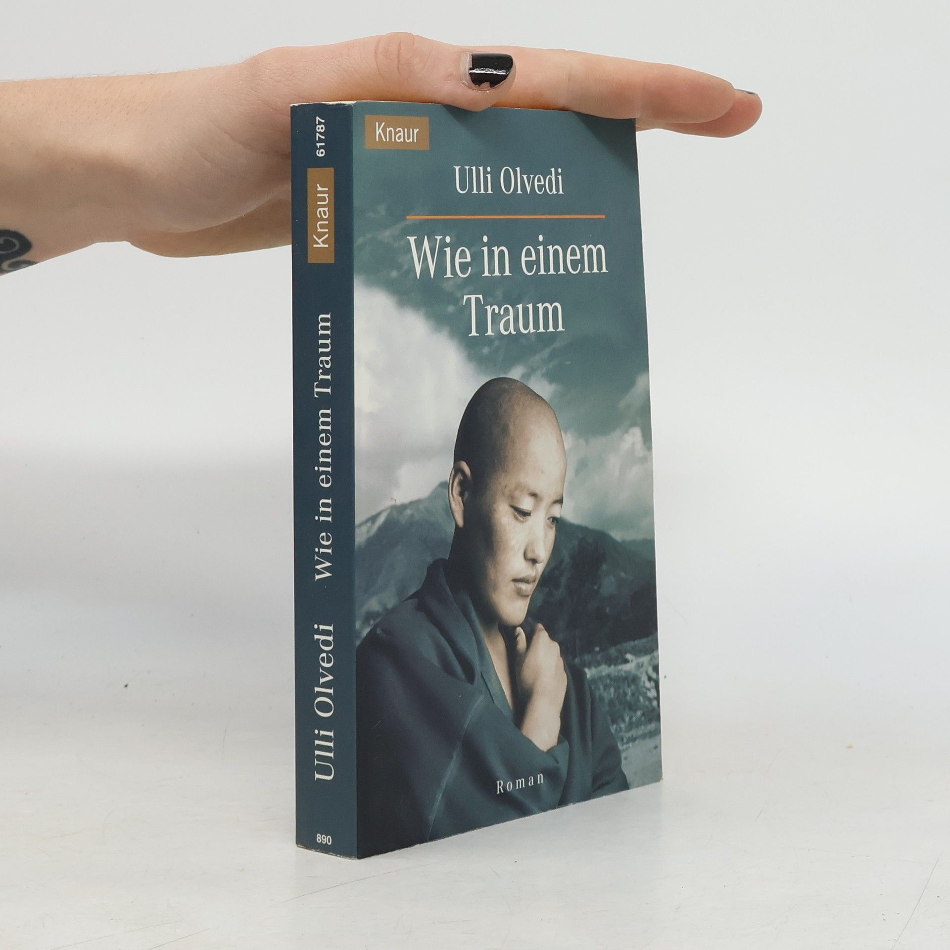 Ulli Olvedi Wie in einem Traum