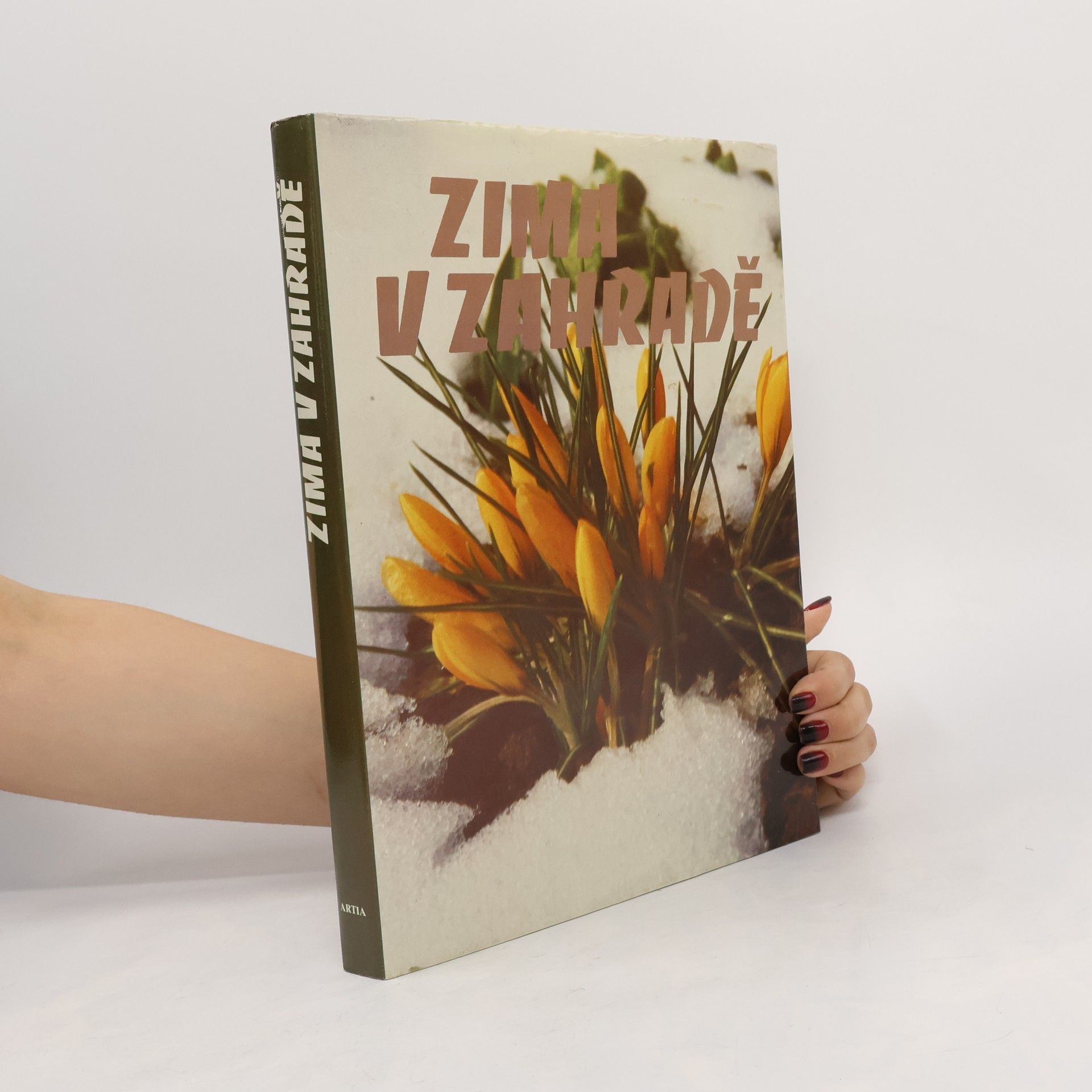 Kolektiv autorů Zima v zahradě