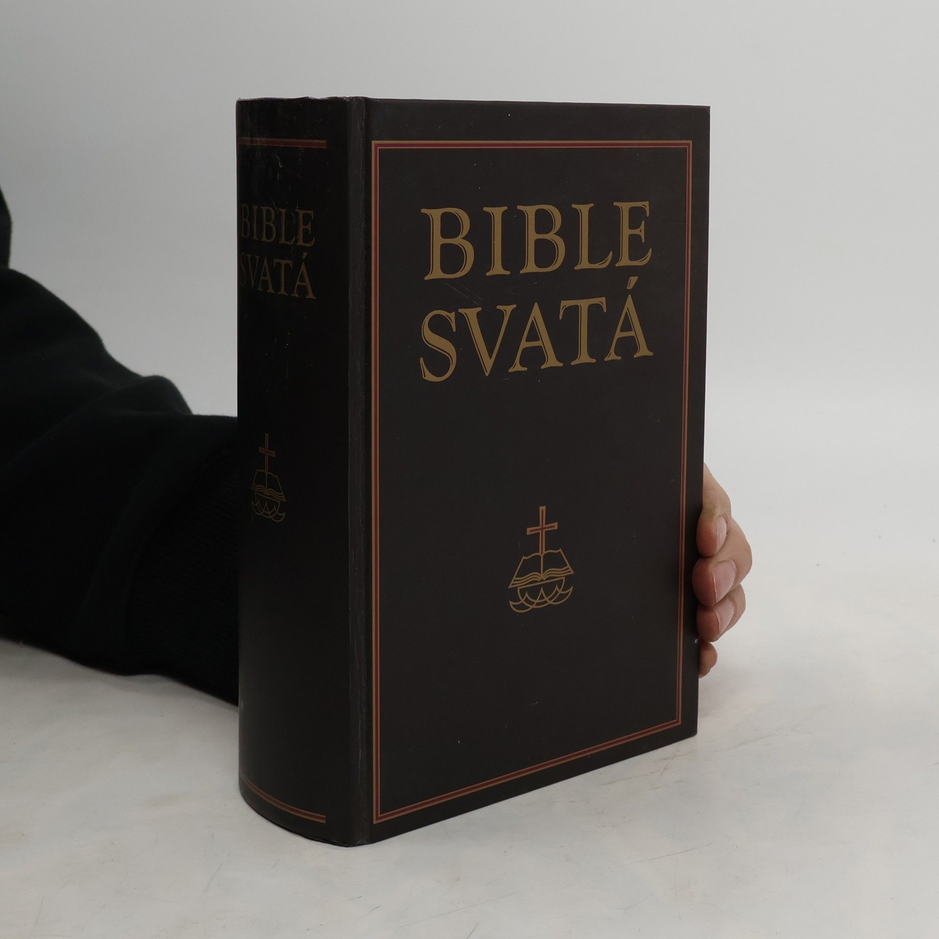 Collectif d'auteurs Bible svatá aneb všecka svatá písma Starého i Nového zákona
