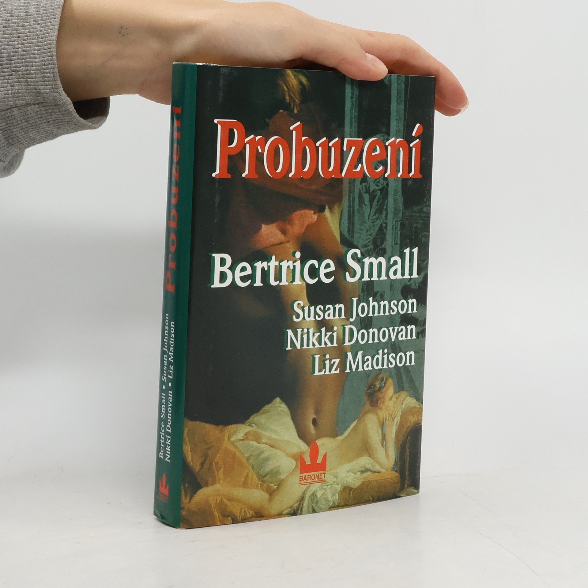 Bertrice Small Probuzení