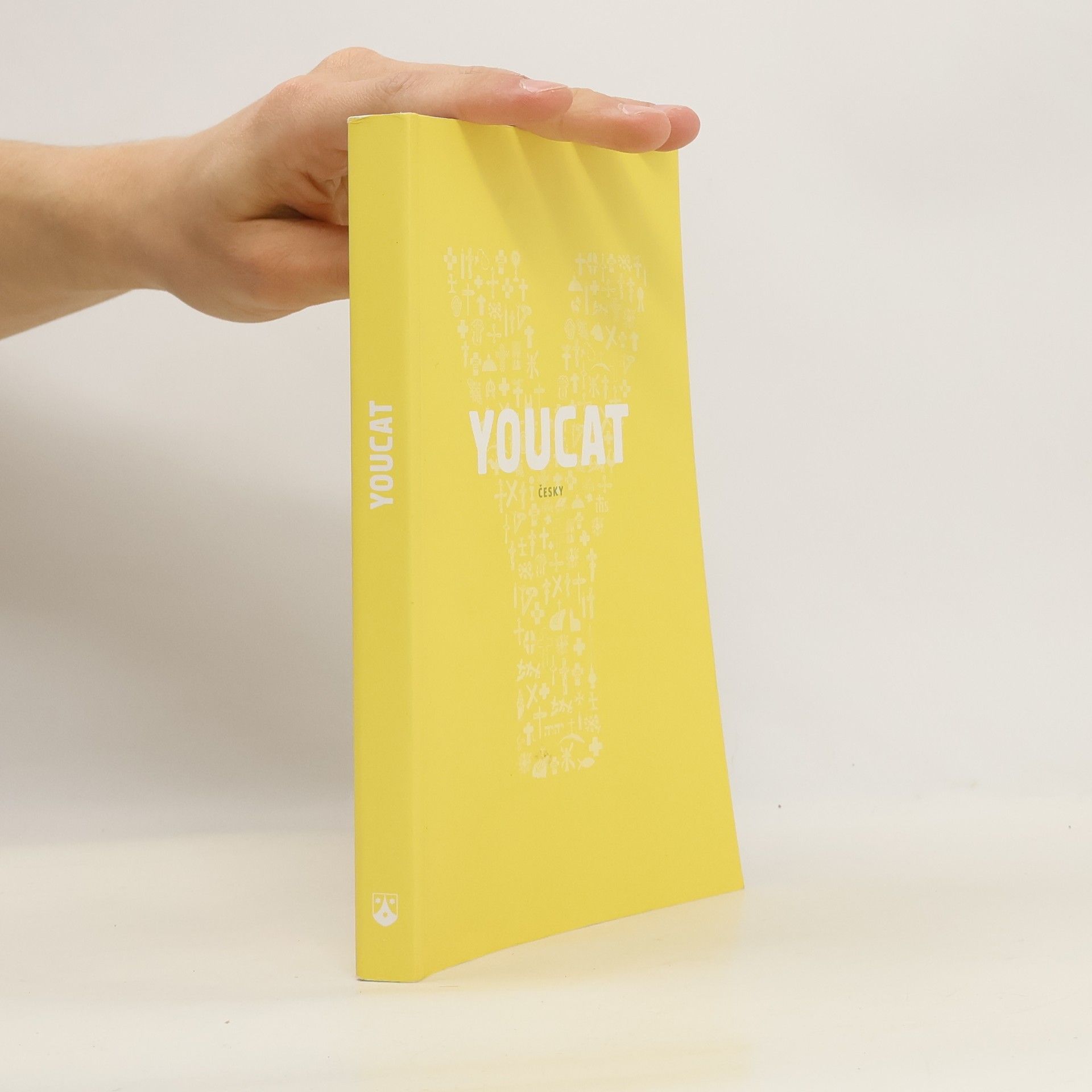 Collectif d'auteurs Youcat: katechismus katolické církve pro mladé