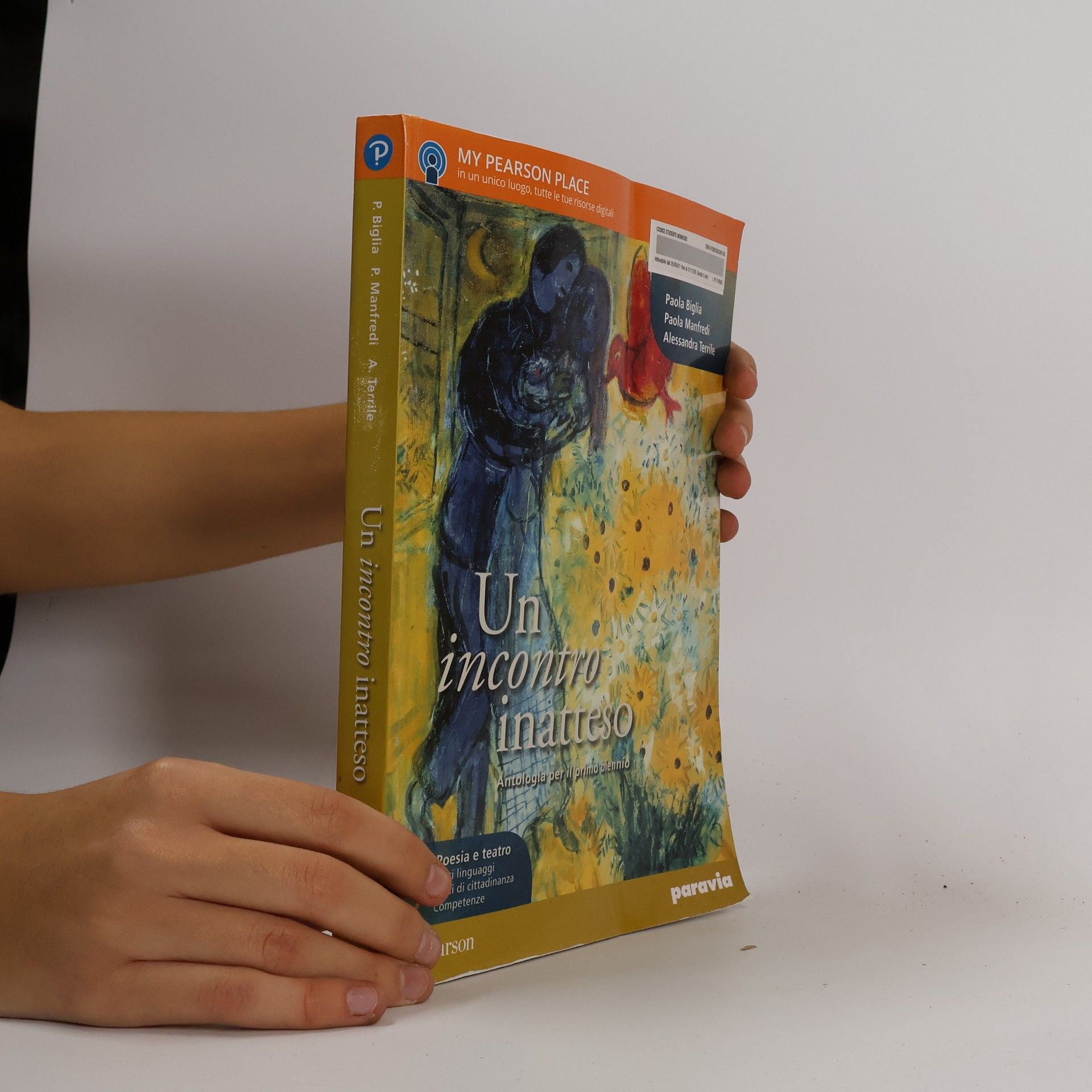 Alessandra Terrile Un incontro inatteso B