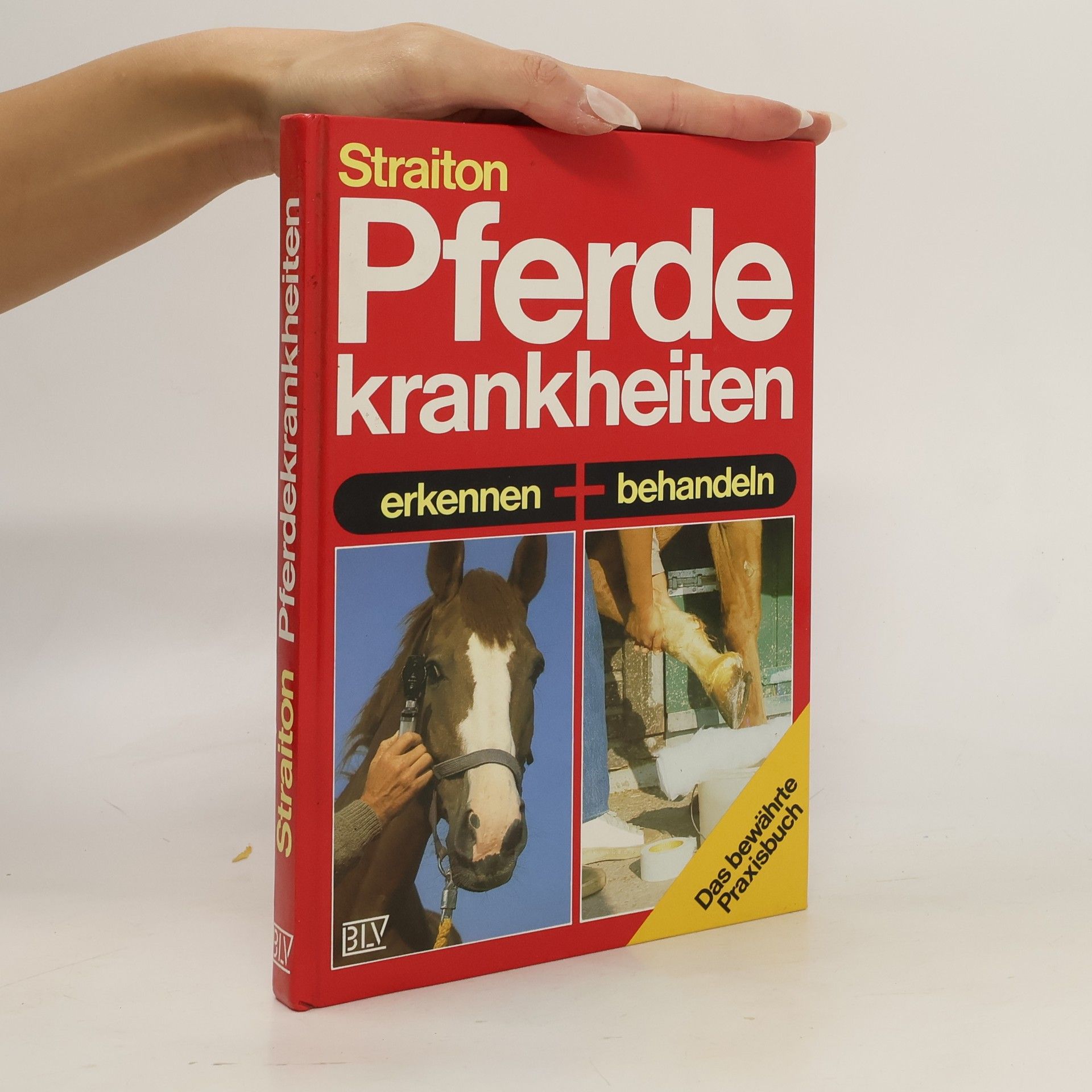 Pferdekrankheiten erkennen und behandeln