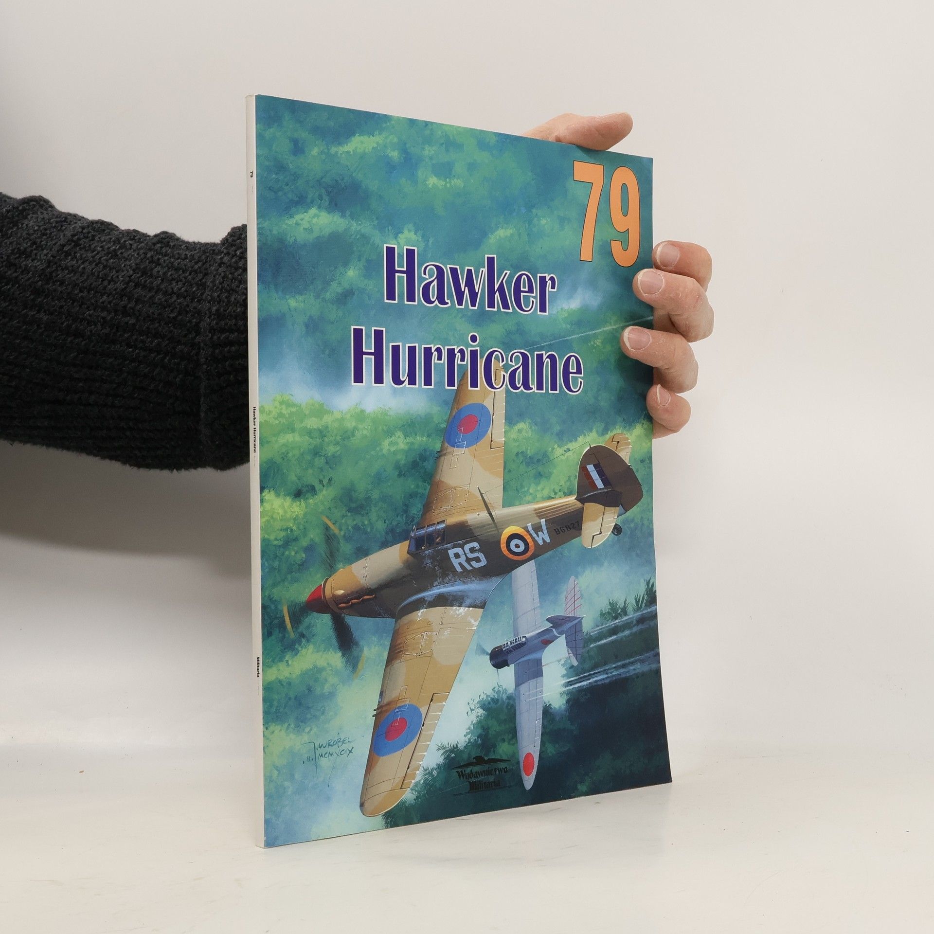 Robert Gretzyngier Hawker Hurricane