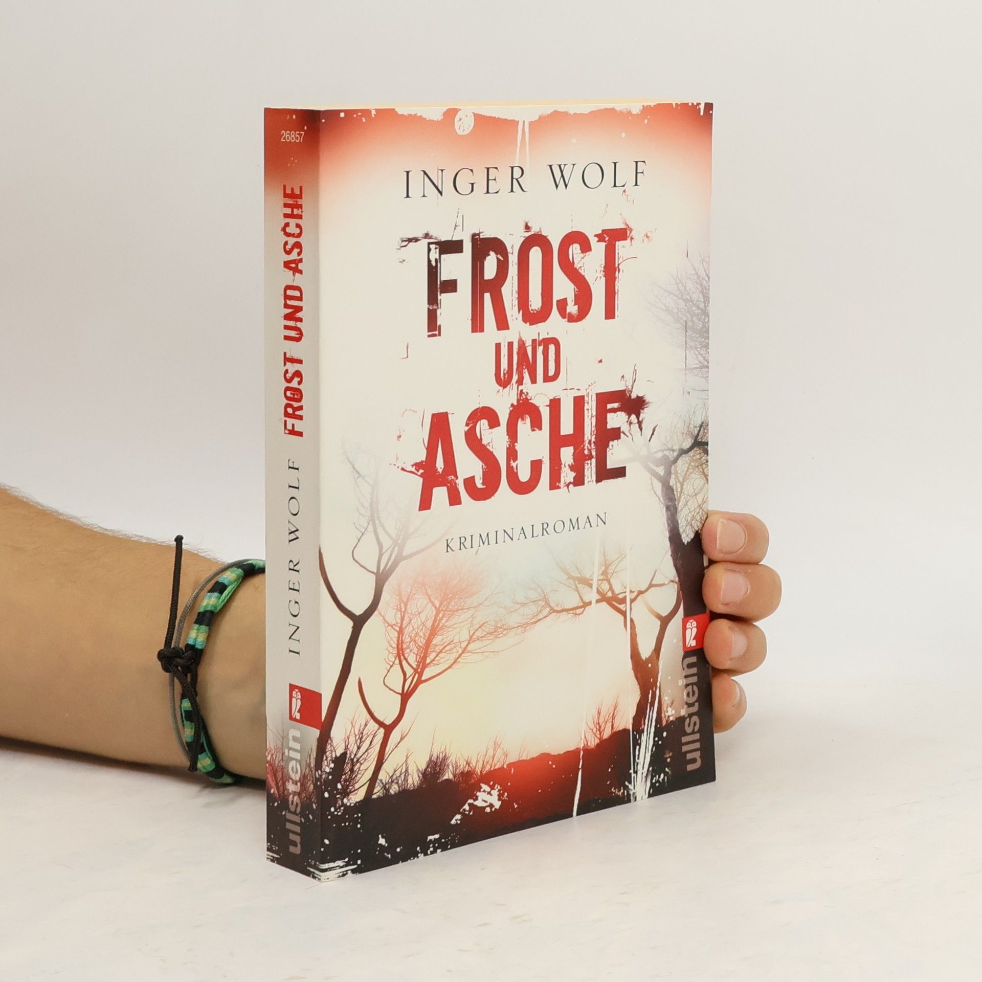 Inger Wolf Frost und Asche