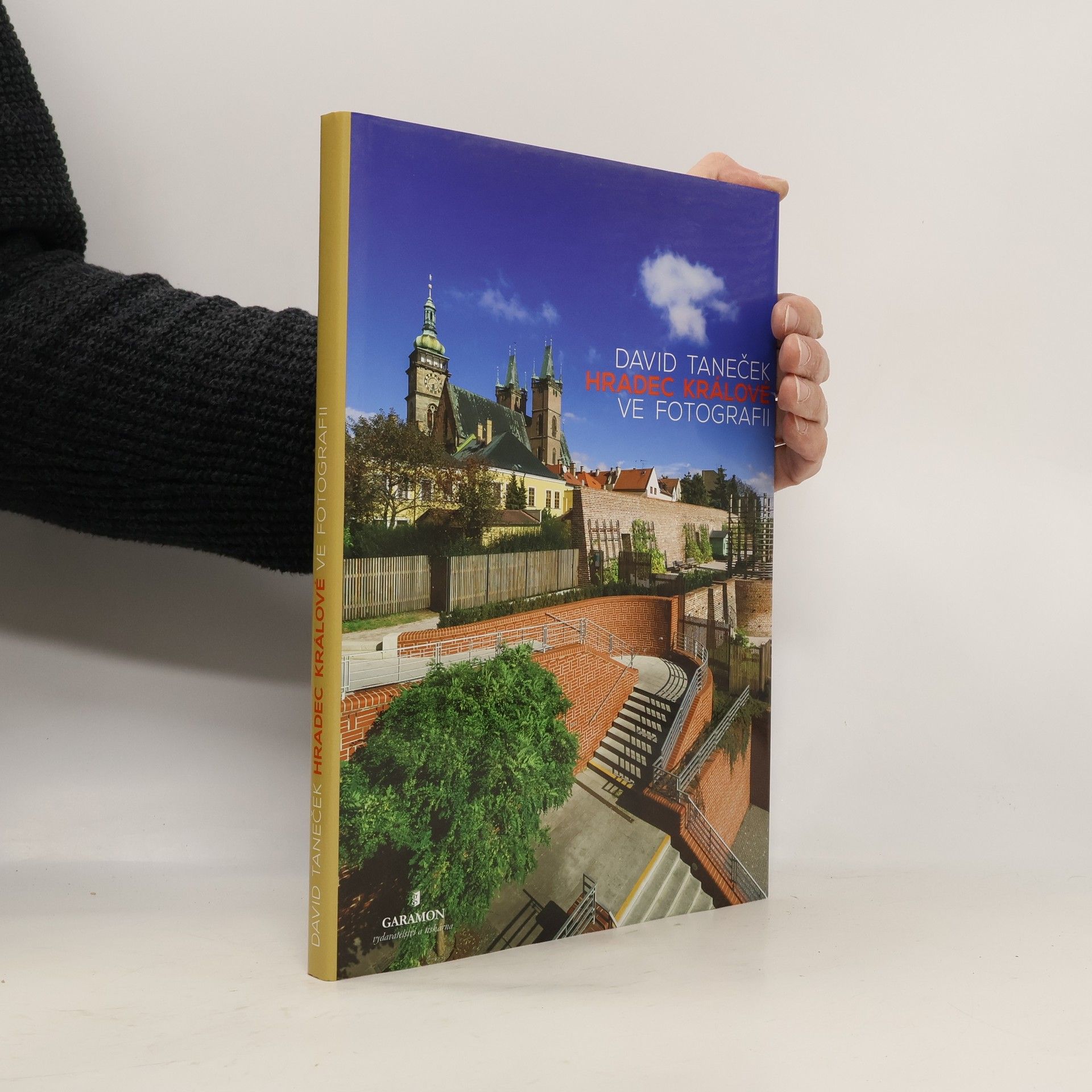 David Taneček Hradec Králové ve fotografii