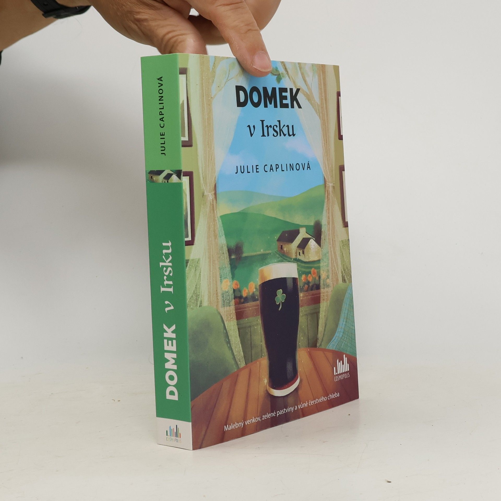 Julie Caplin Domek v Irsku