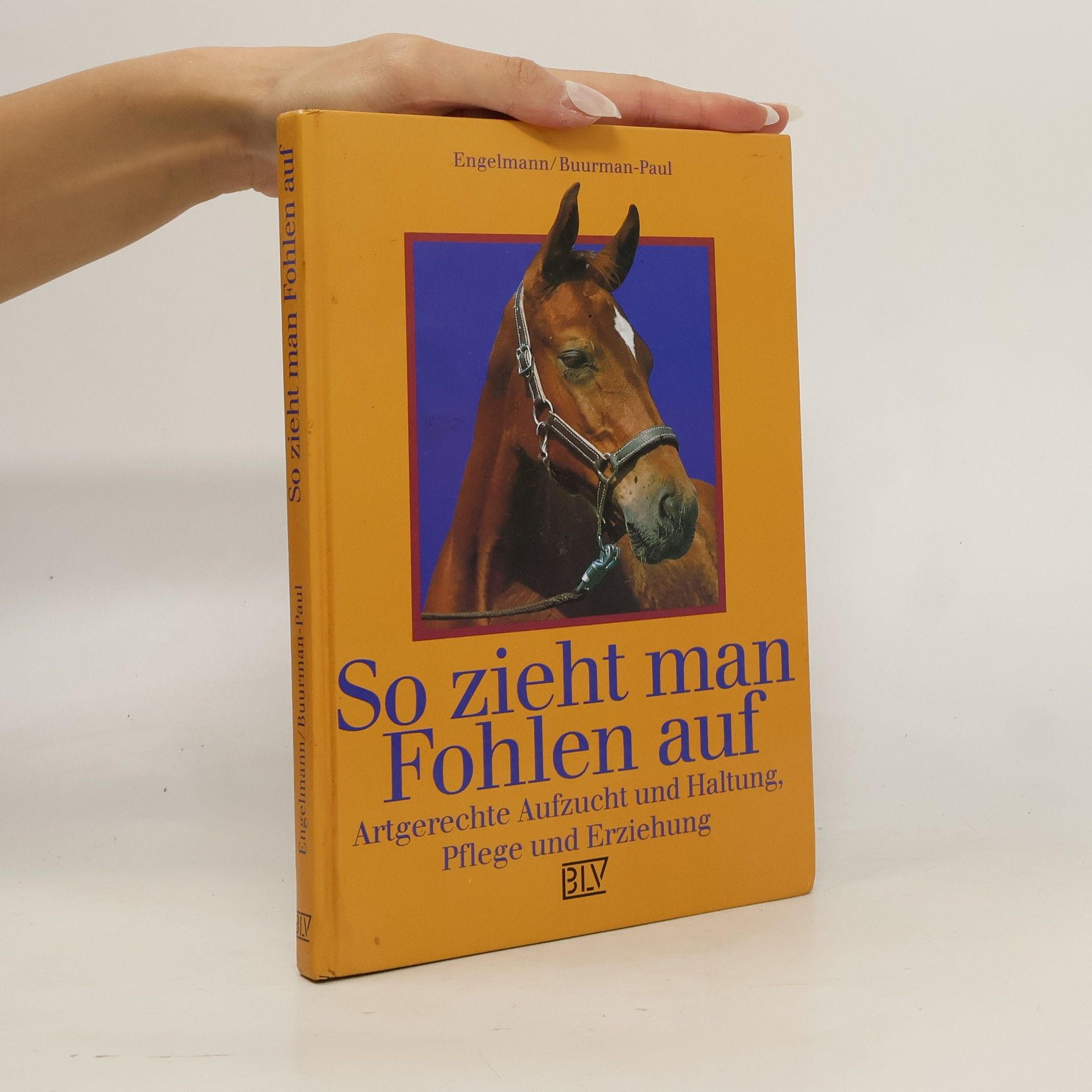 Uta Engelmann So zieht man Fohlen auf