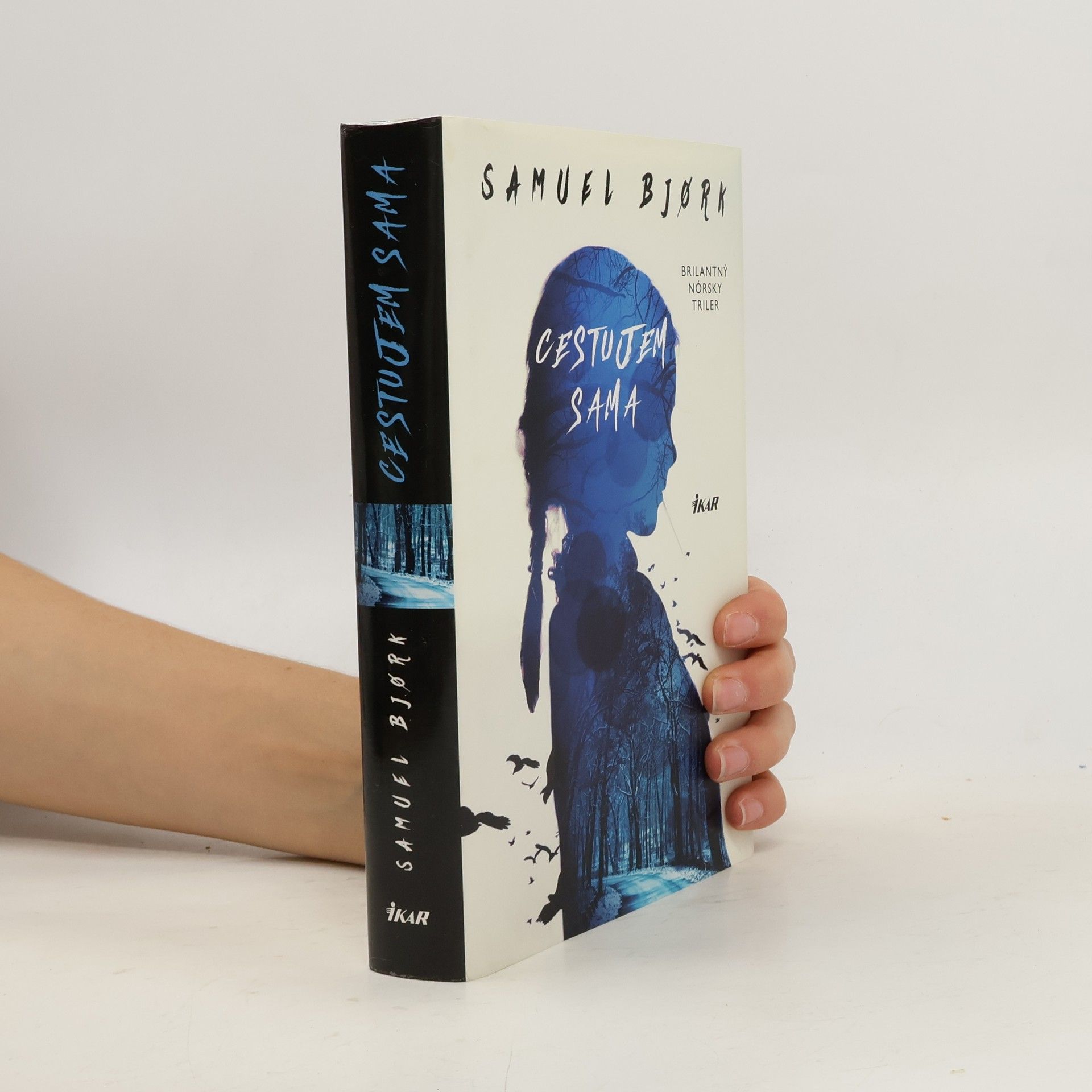 Samuel Bjork Cestujem sama