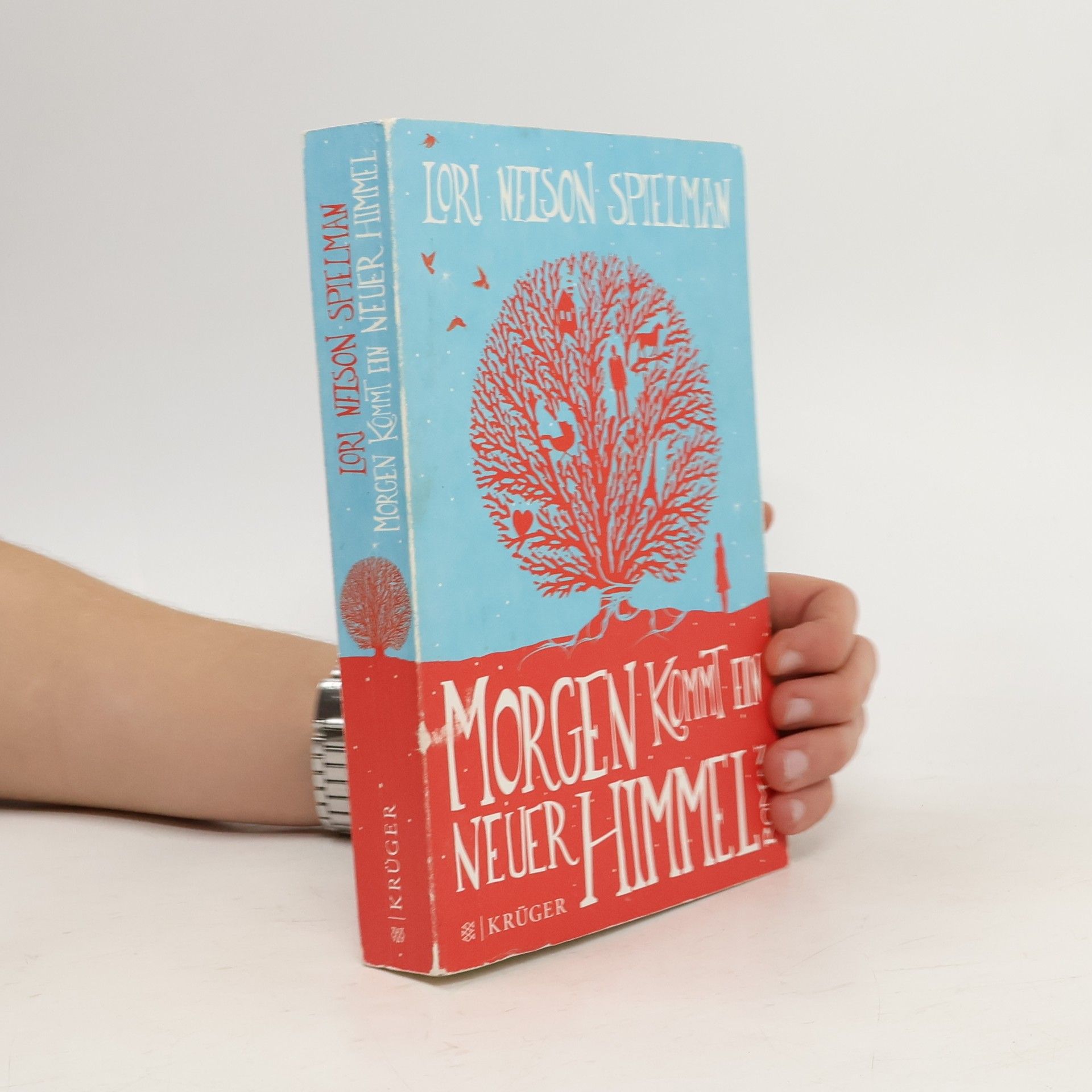 Lori Nelson Spielman Morgen kommt ein neuer Himmel