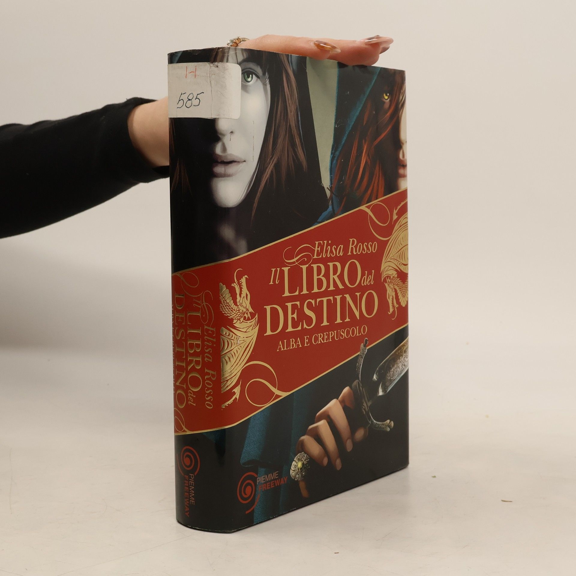 Elisa Rosso Il libro del destino