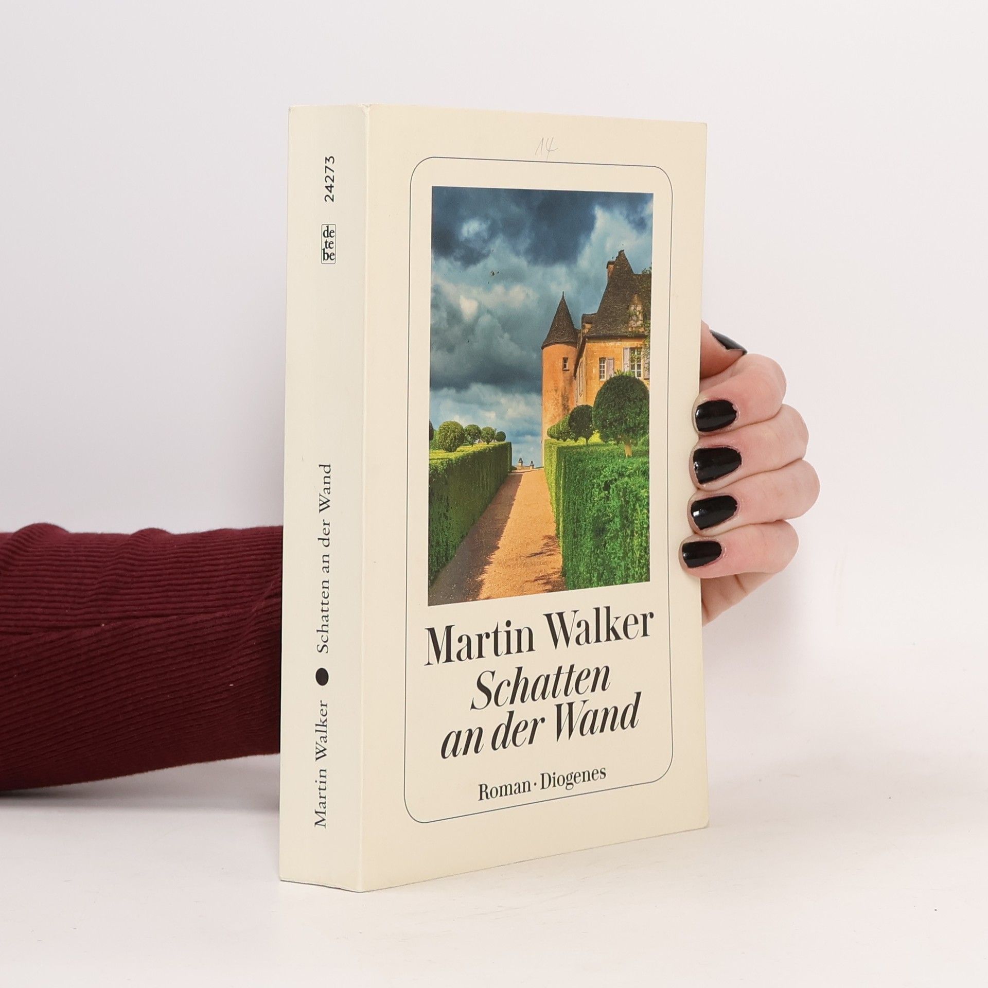 Martin Walker Schatten an der Wand