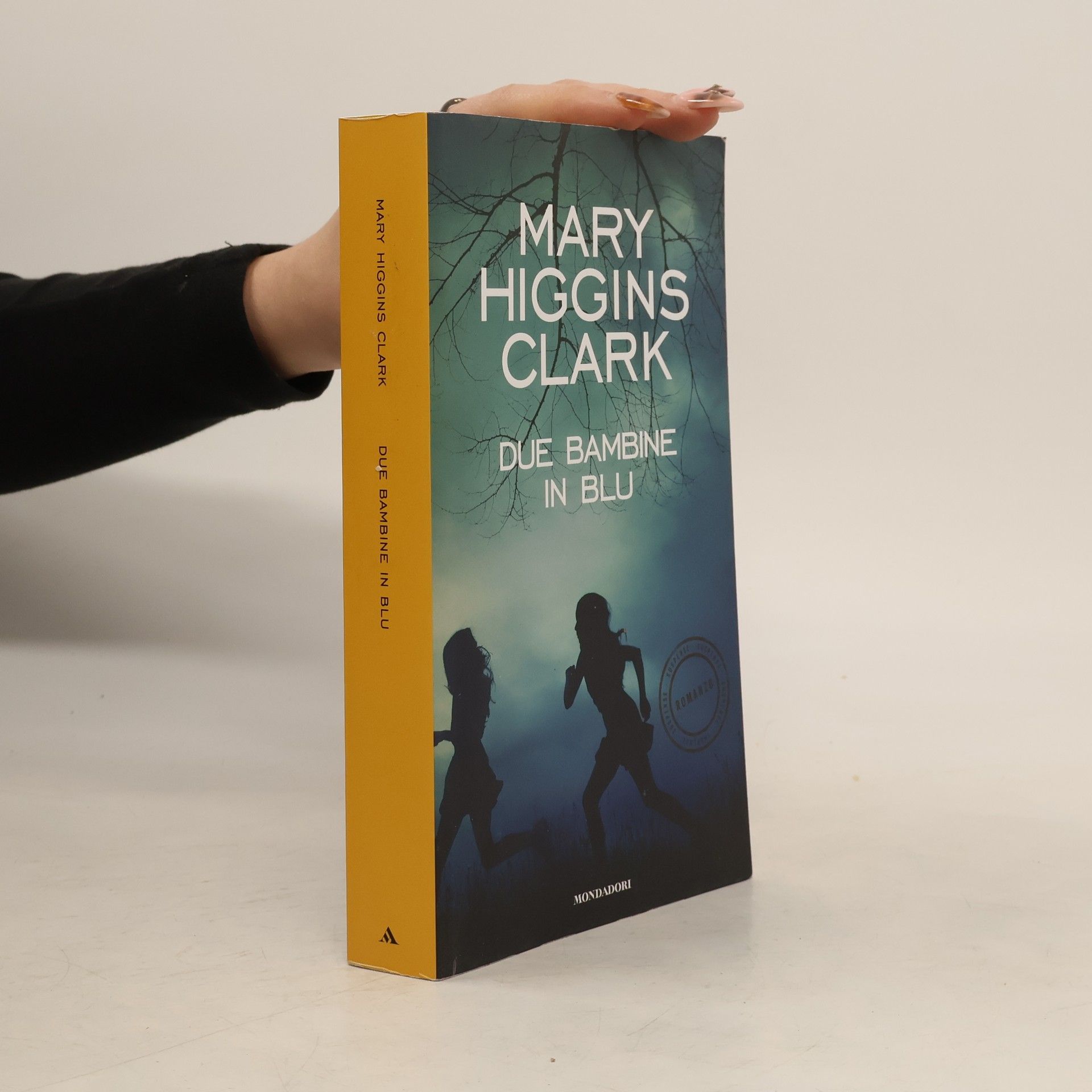 Mary Higgins Clark Due bambine in blu