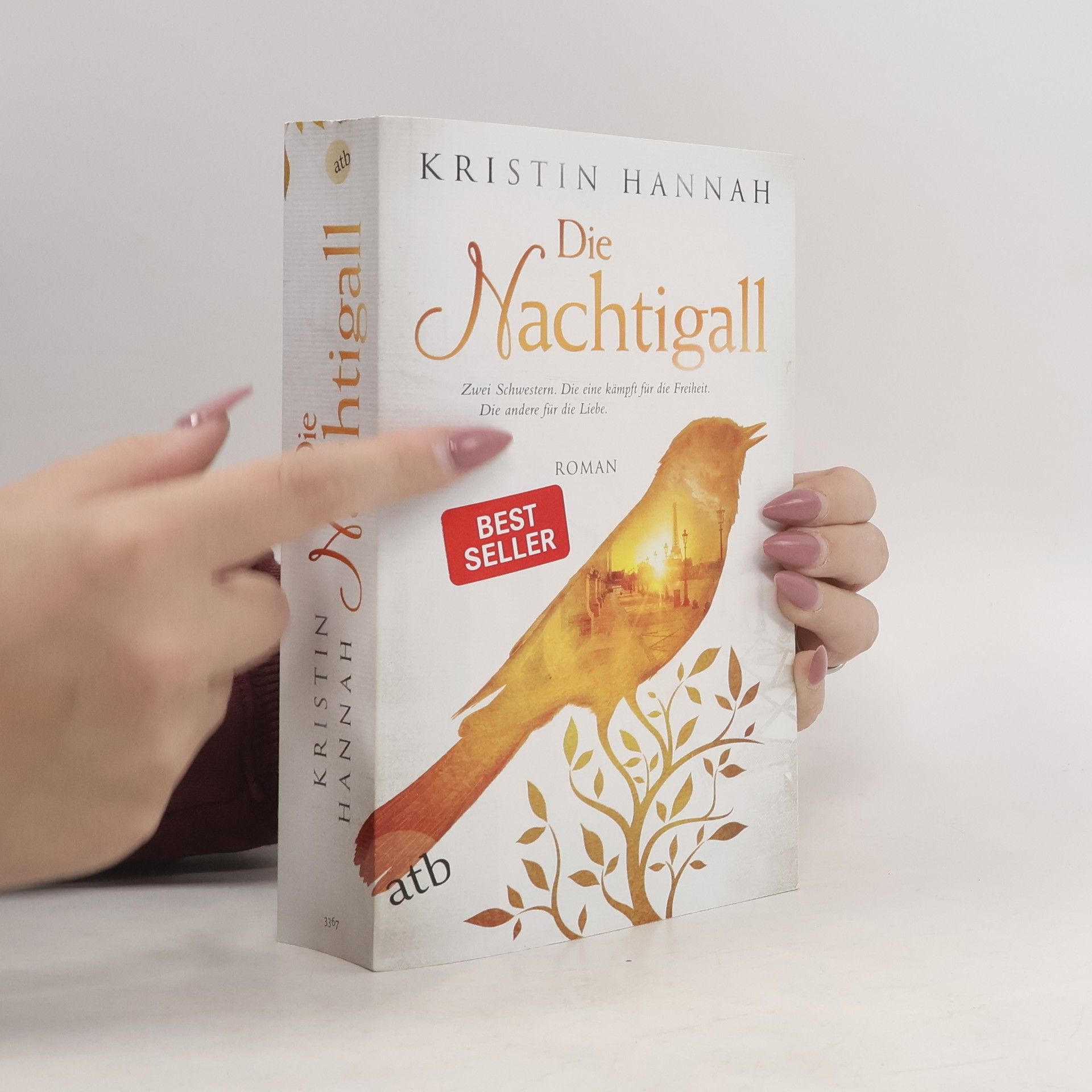 Kristin Hannah Die Nachtigall