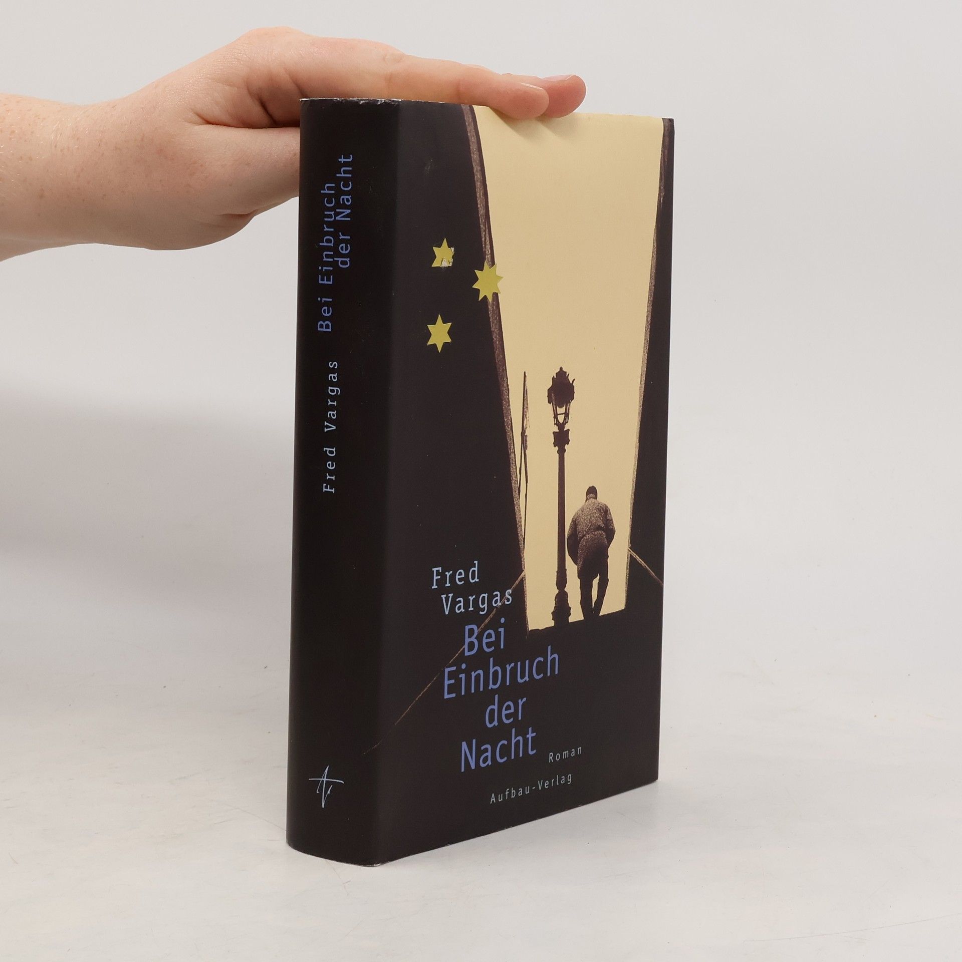 Fred Vargas Bei Einbruch der Nacht