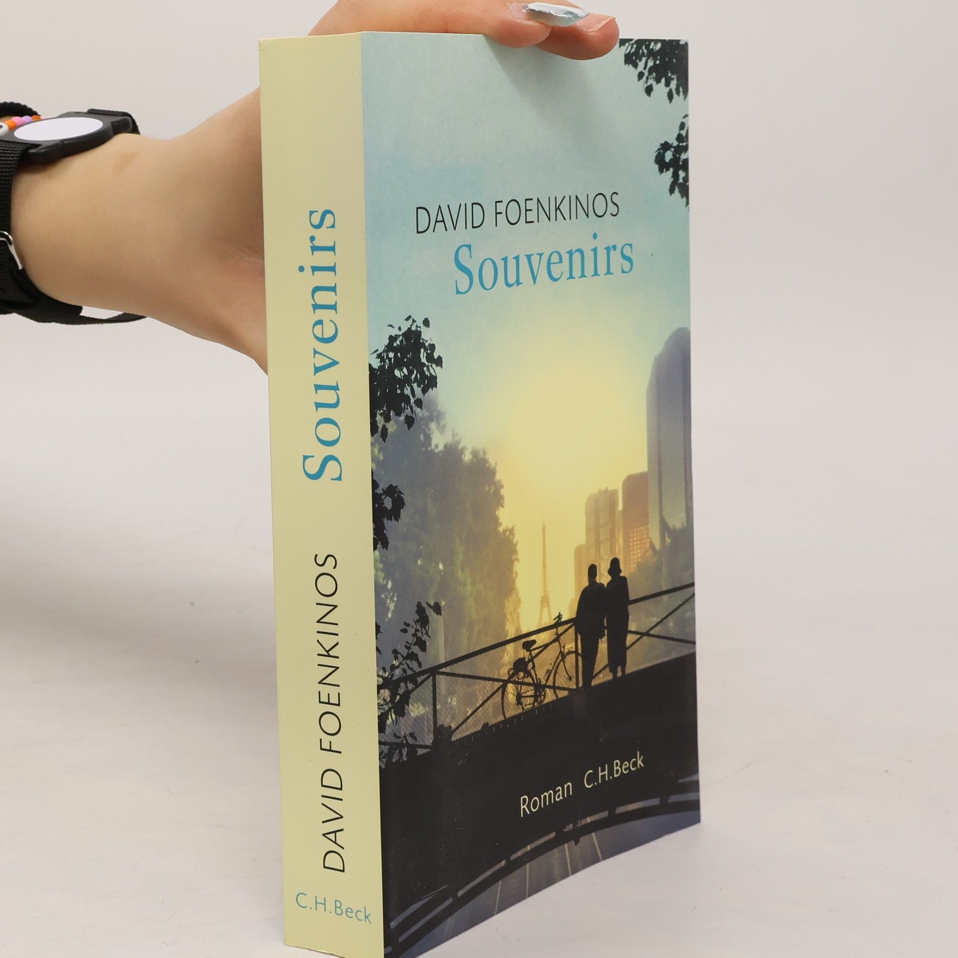 David Foenkinos Souvenirs