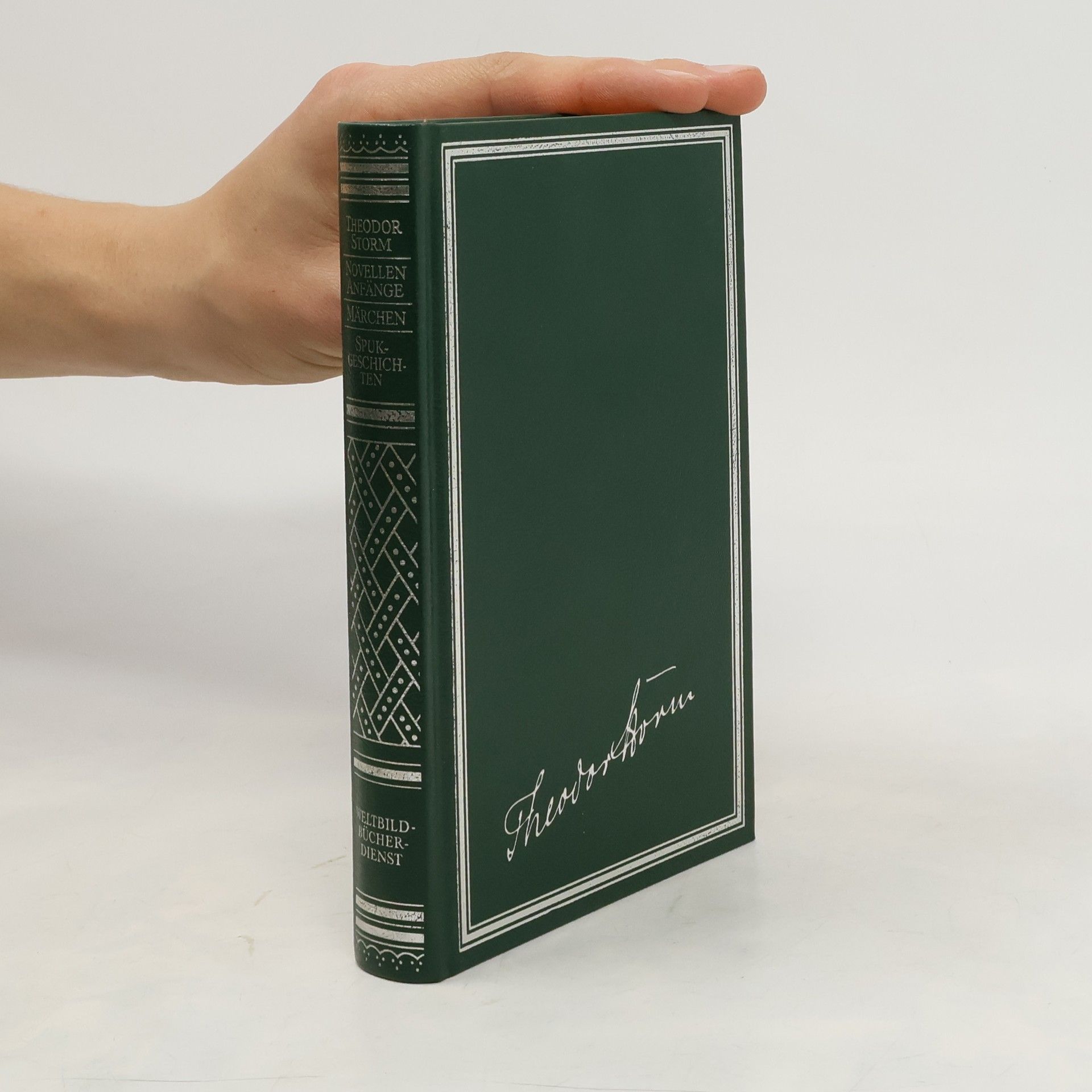 Theodor Storm Novellen Anfänge. Märchen. Spuk-Geschichten