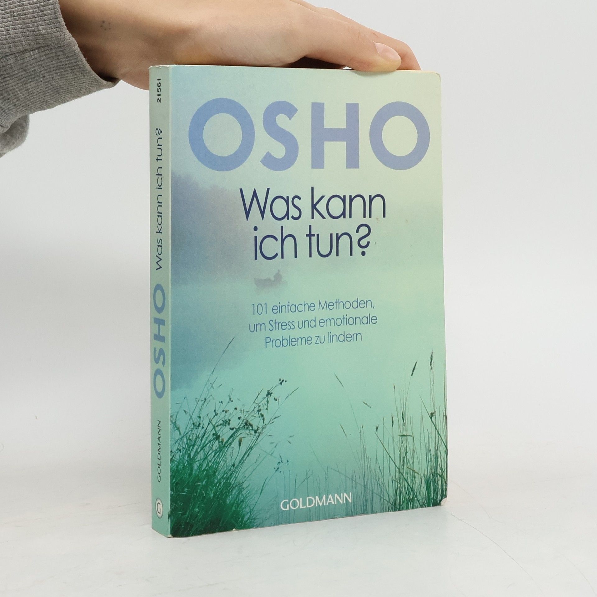 Osho Was kann ich tun?