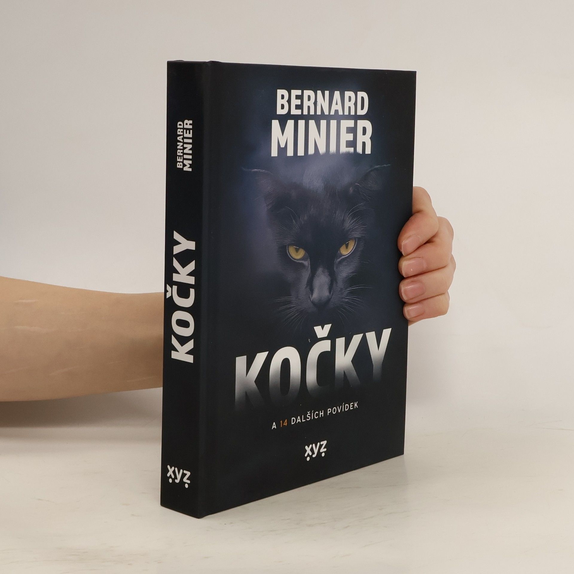 Bernard Minier Kočky