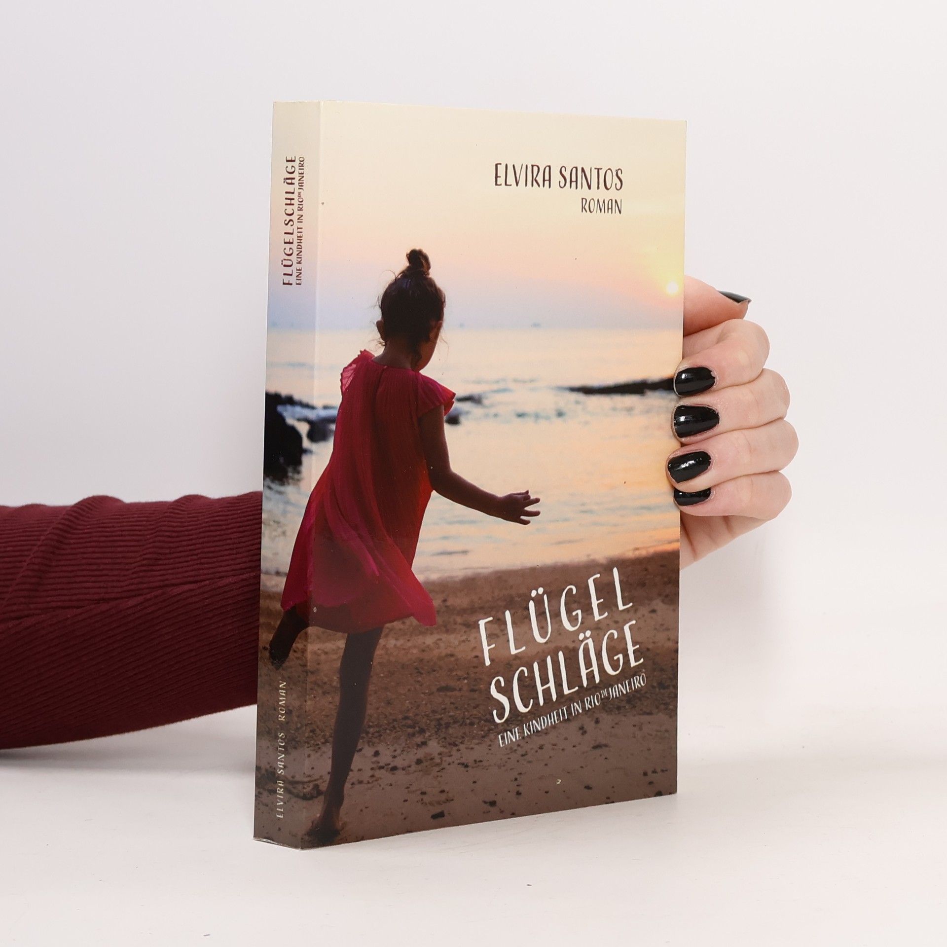 Elvira Santos Flügelschläge