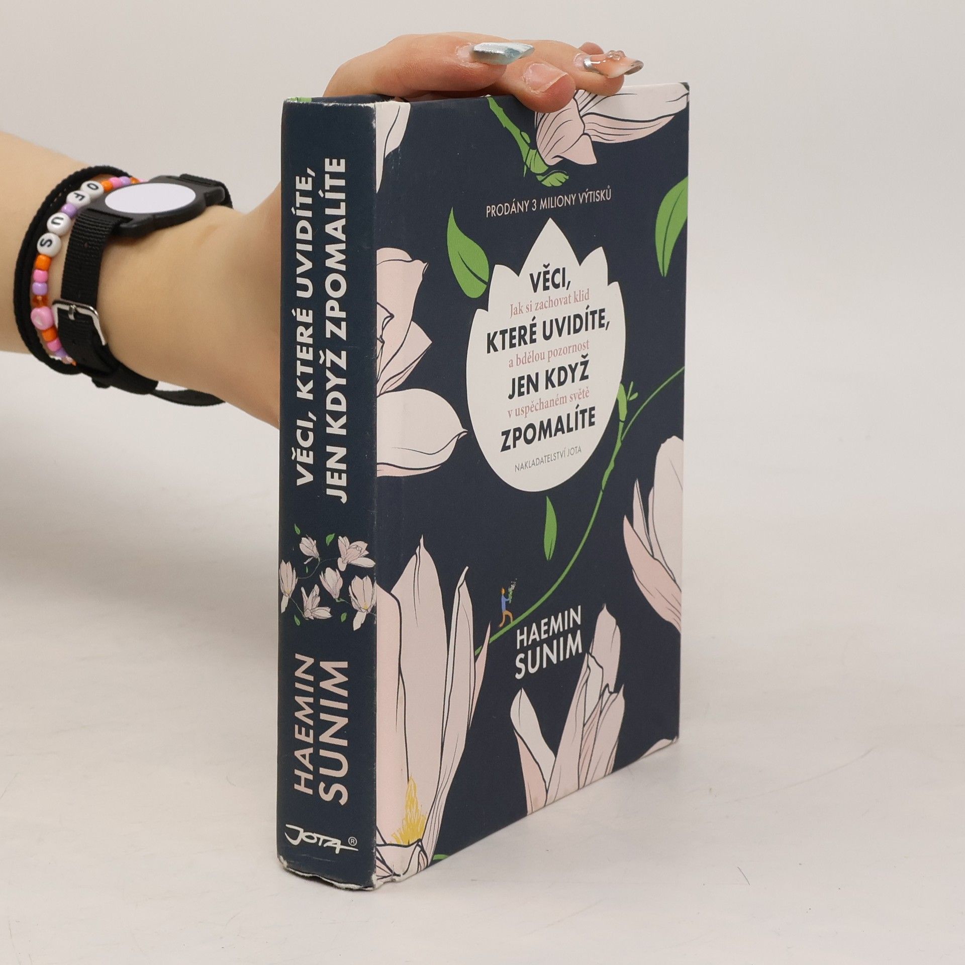 Sunim Haemin Věci, které uvidíte, jen když zpomalíte