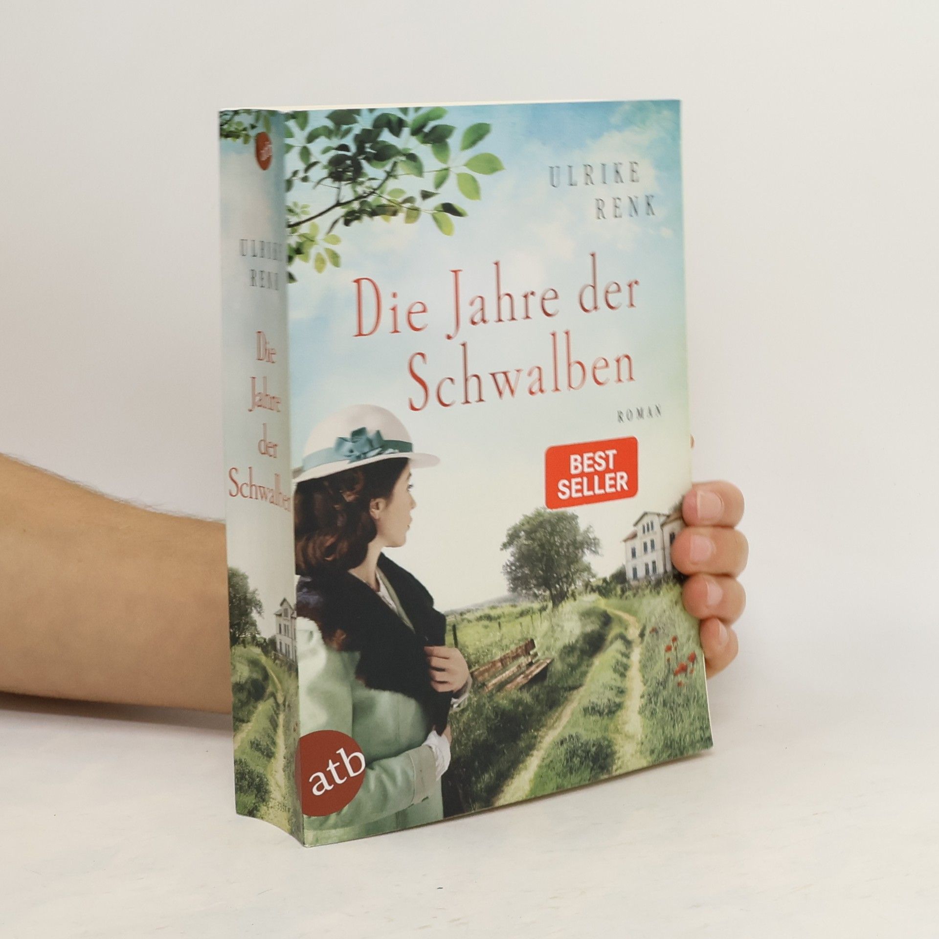 Ulrike Renk Die Jahre der Schwalben