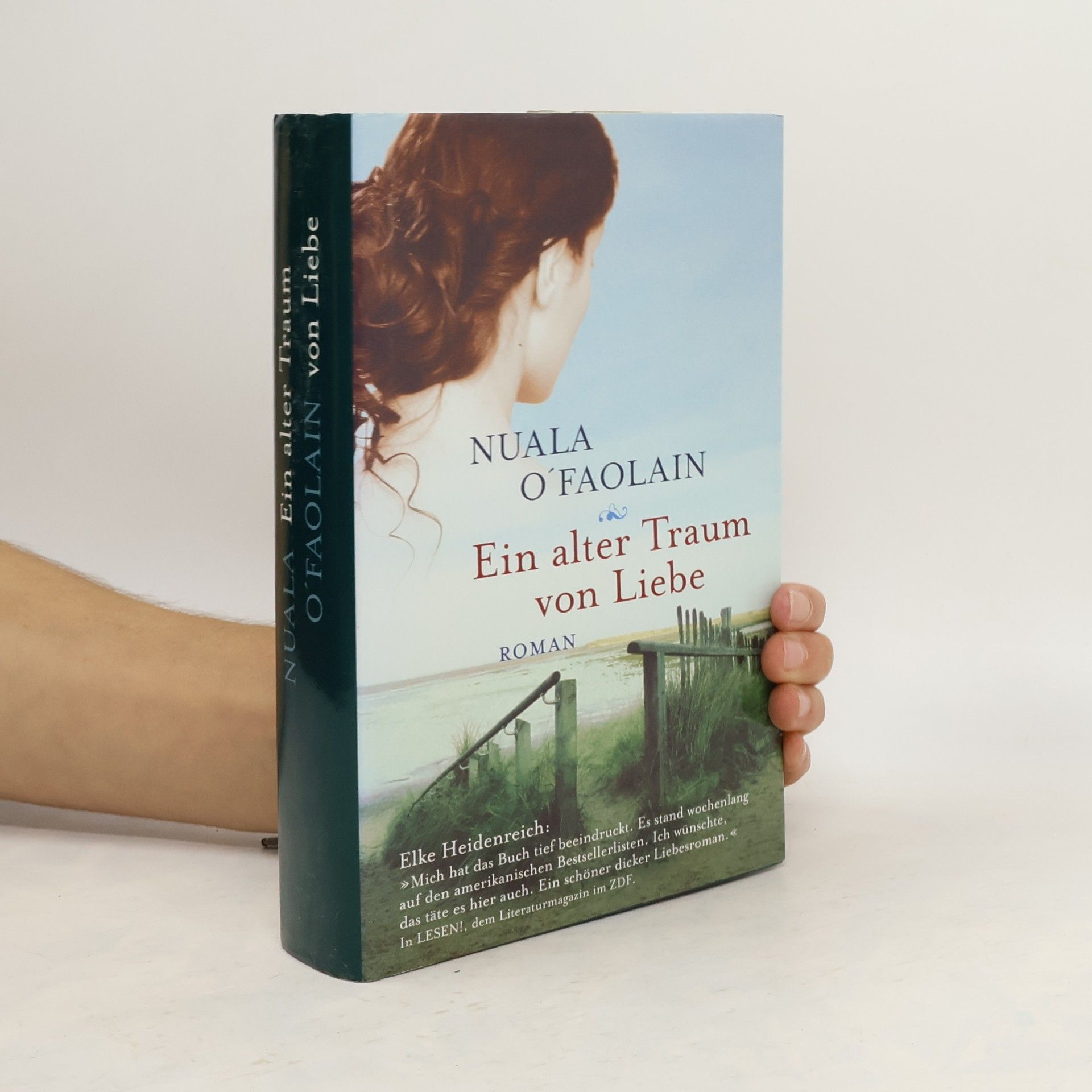 Nuala O. Faolain Ein alter Traum von Liebe