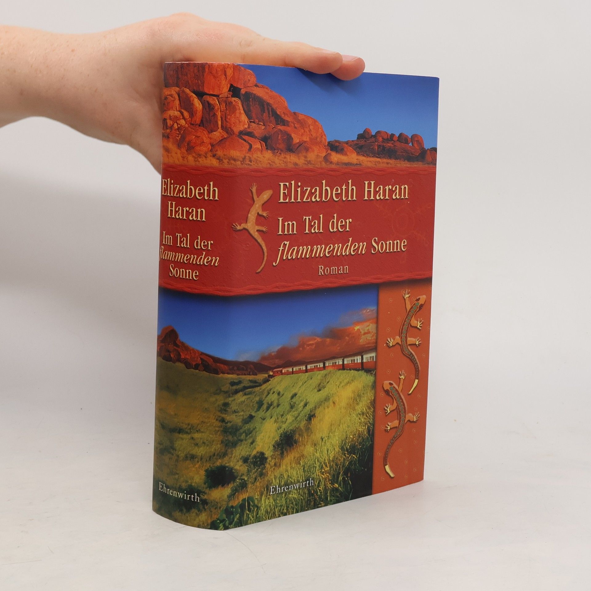 Elizabeth Haran Im Tal der flammenden Sonne