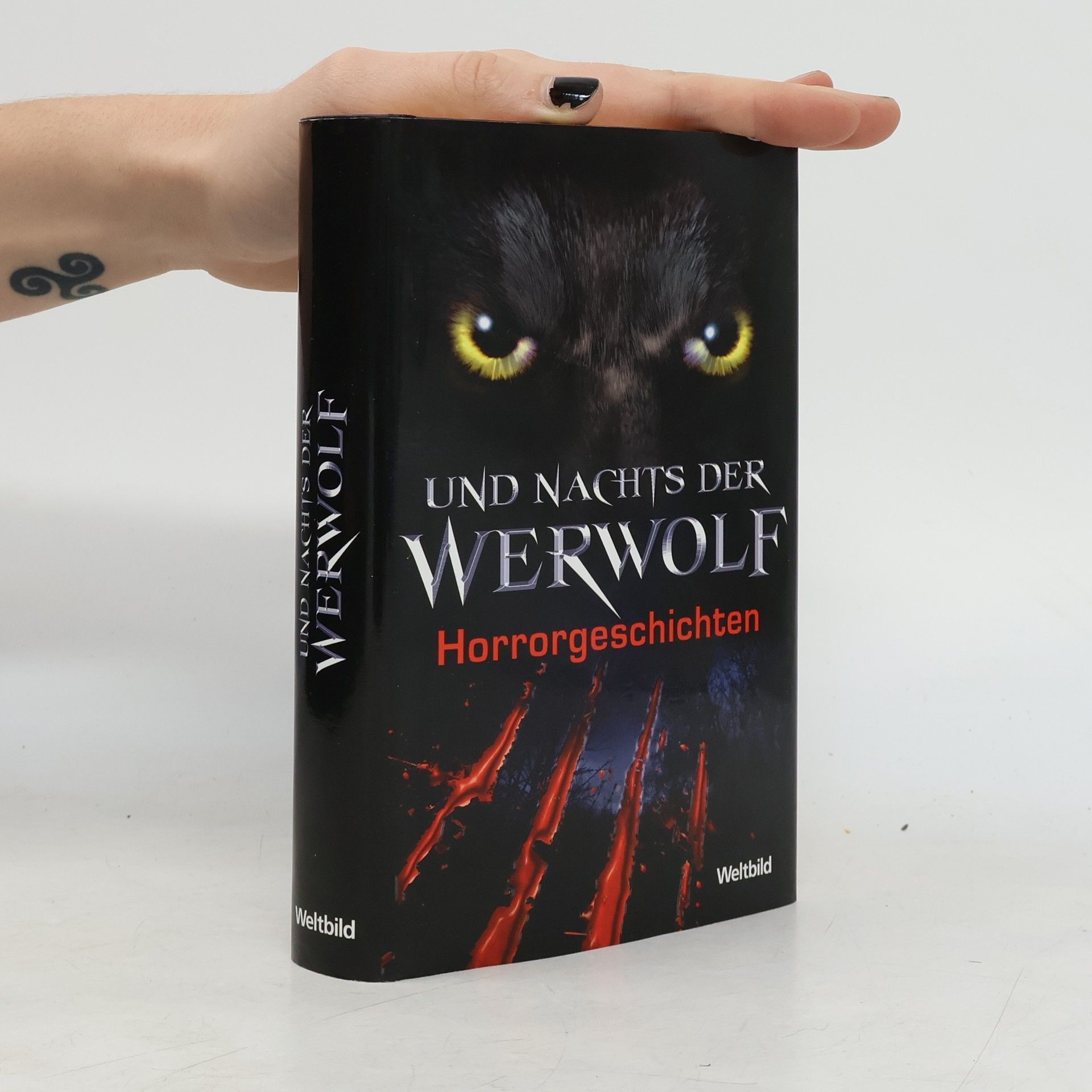 Frank Festa Und nachts der Werwolf