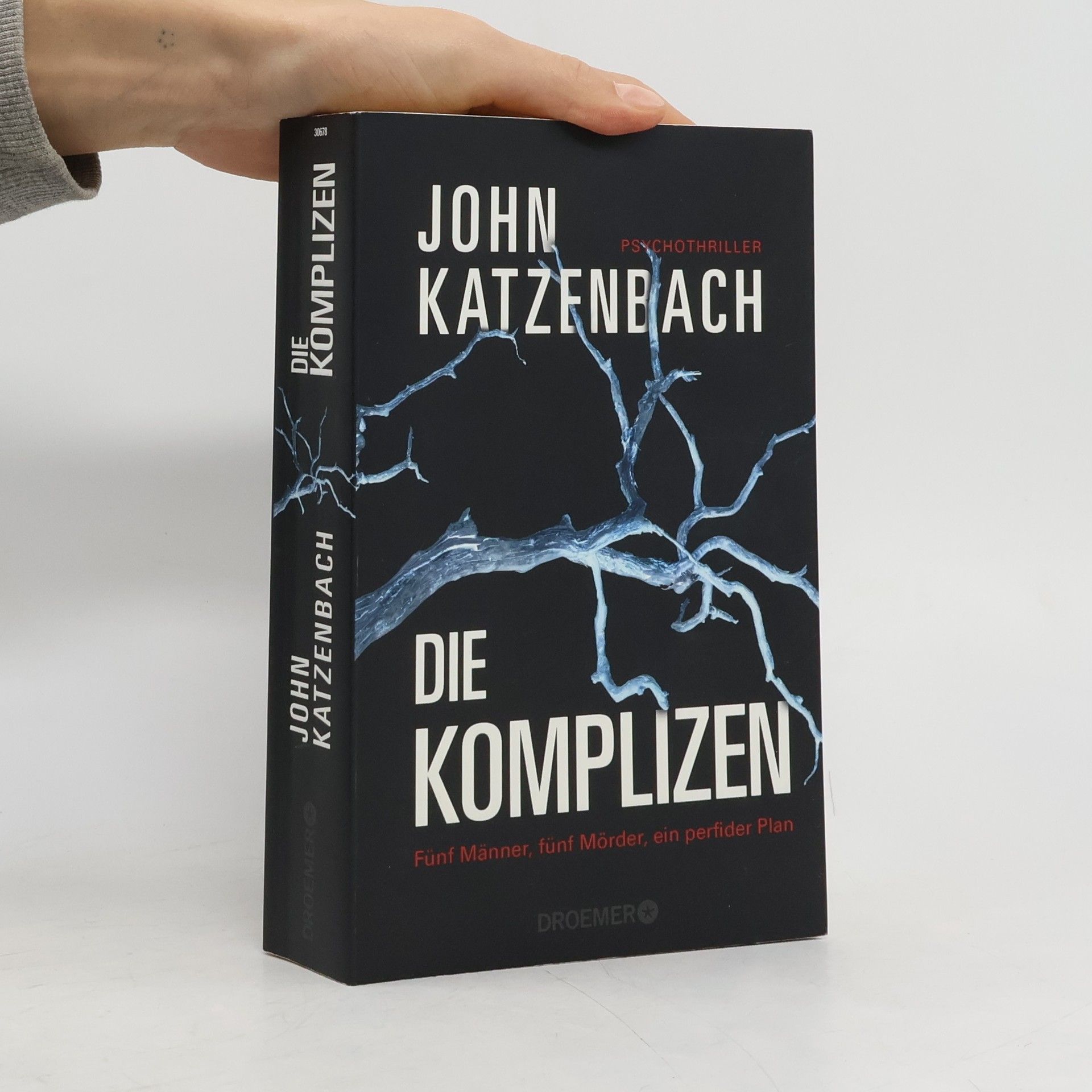 John Katzenbach Die Komplizen: Fünf Männer, fünf Mörder, ein perfider Plan