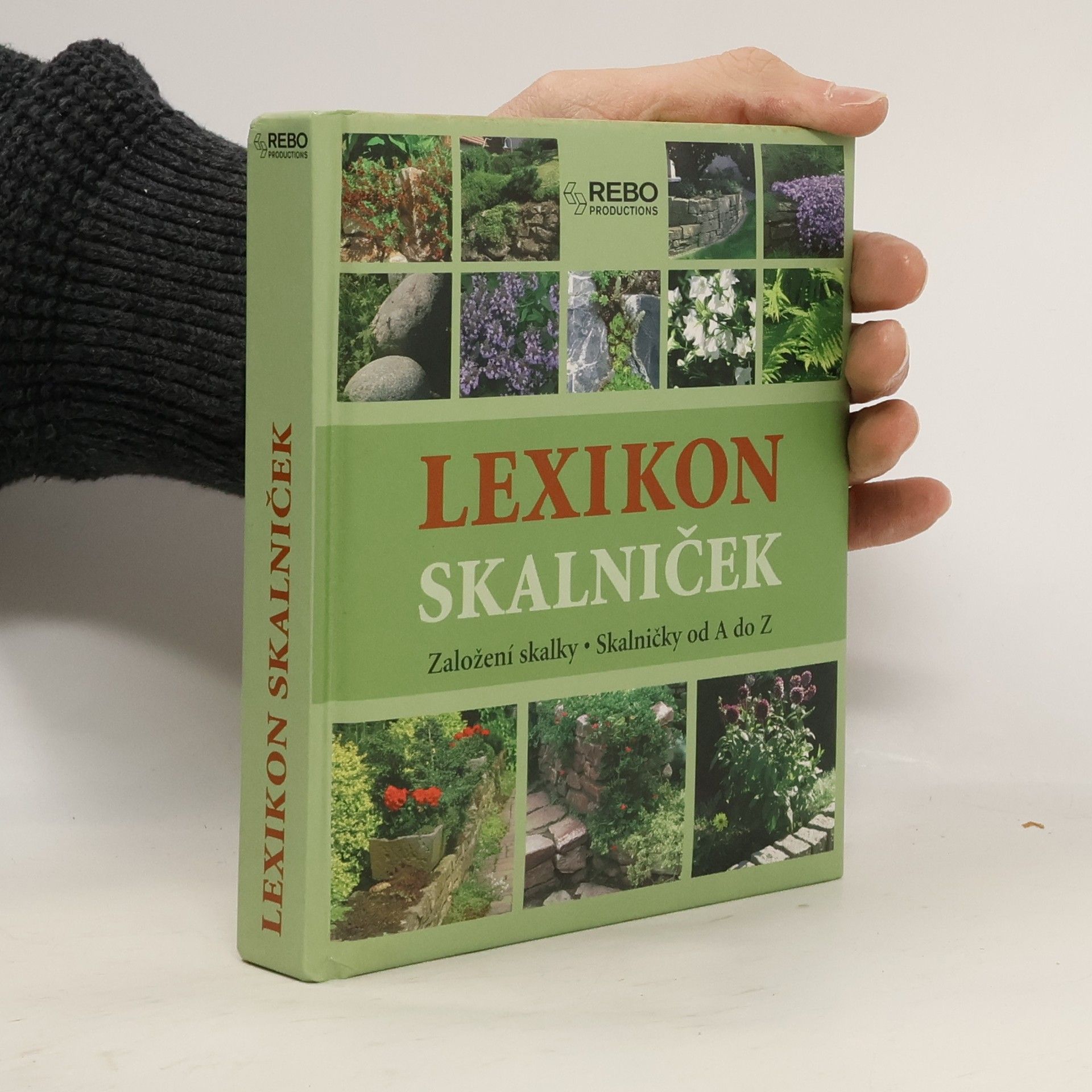 Hermann Hackstein Lexikon skalniček