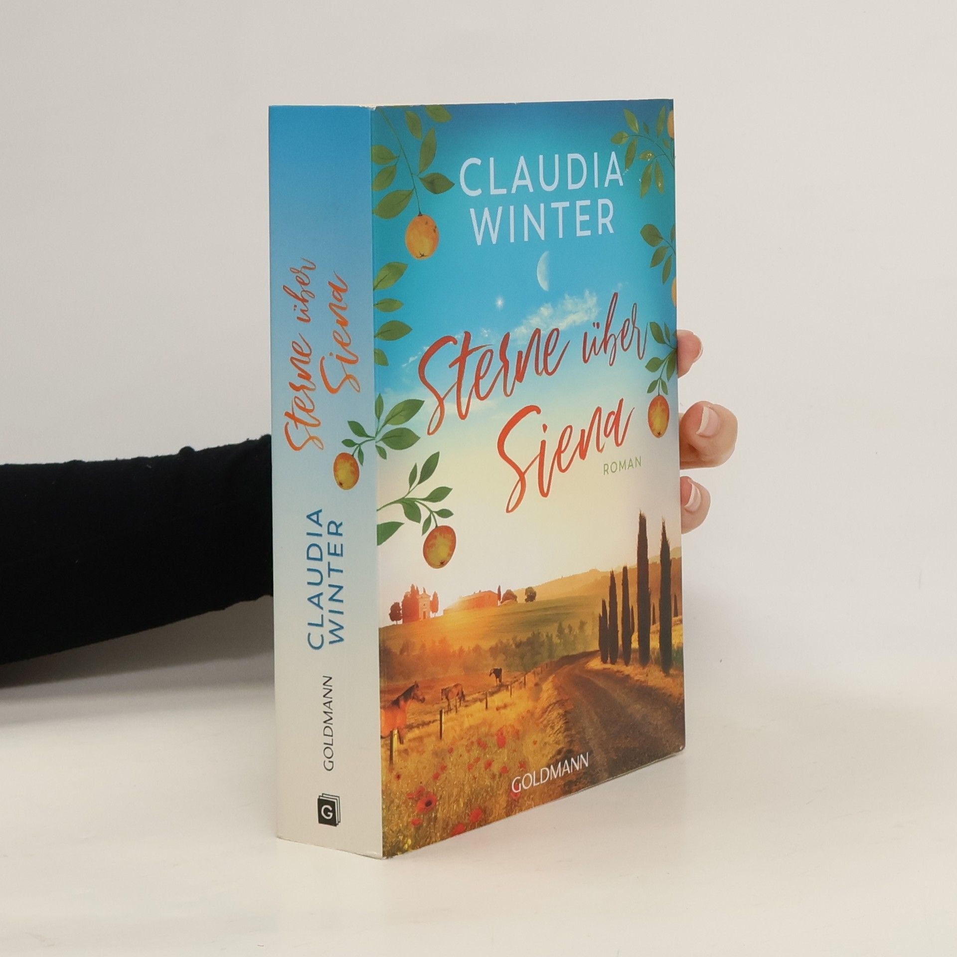 Claudia Winter Sterne über Siena