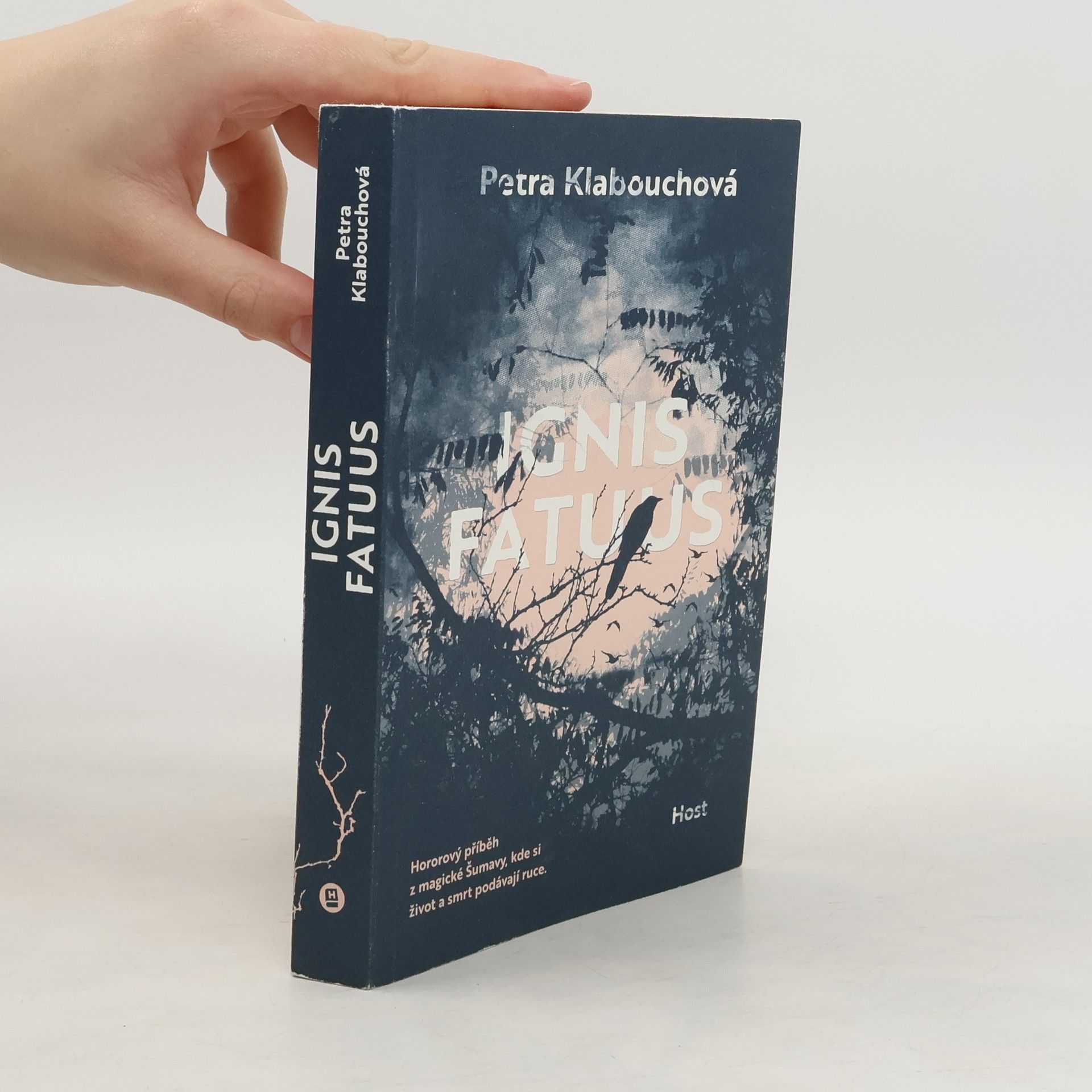 Petra Klabouchová Ignis fatuus