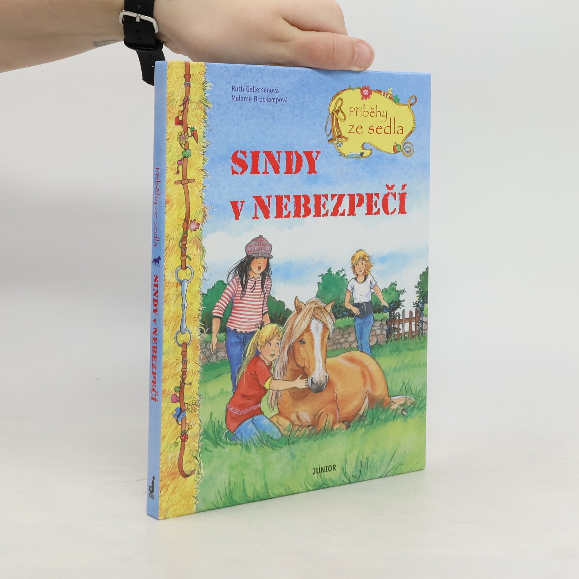 Sindy v nebezpečí
